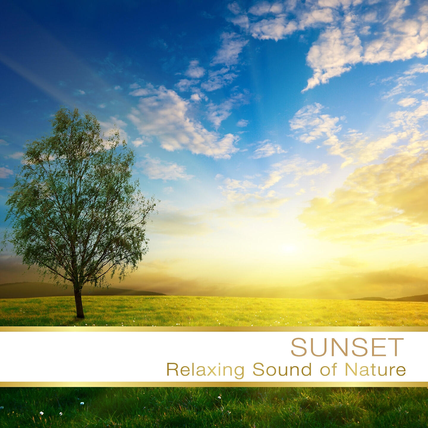 FLY PROJECT - Il sole sulla pianura