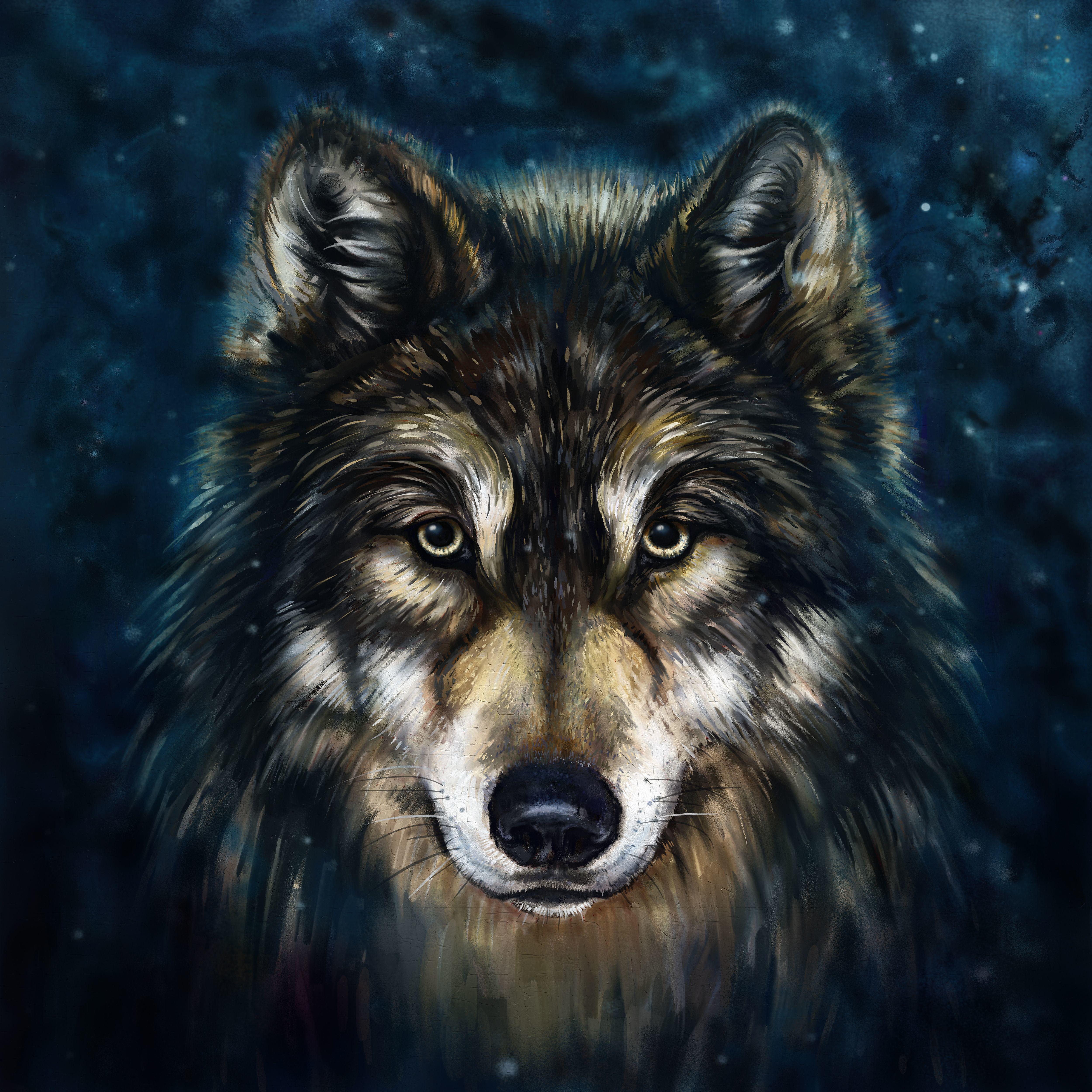 Постер альбома Волчонок