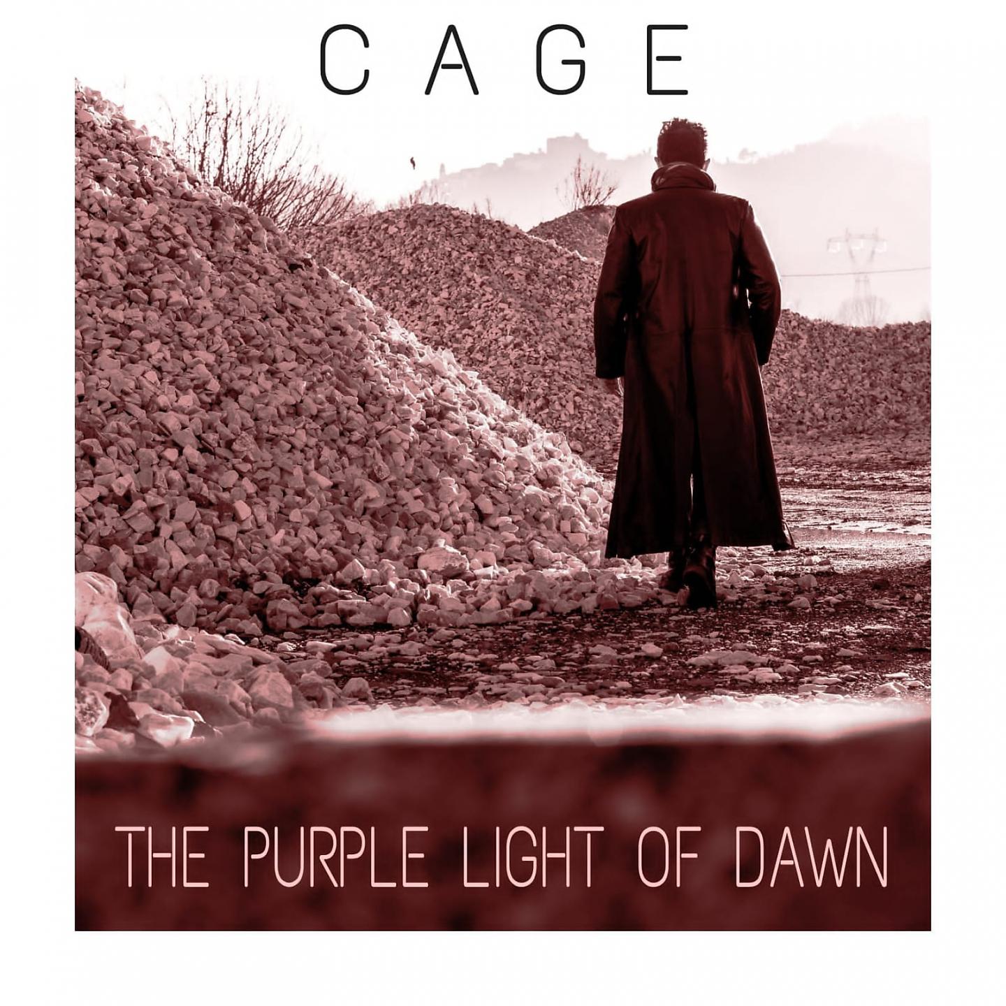 Постер альбома The Purple Light of Dawn