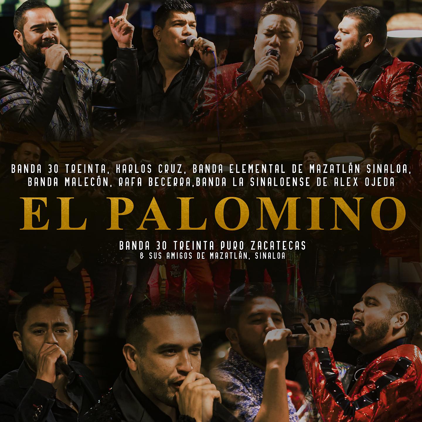Постер альбома El Palomino