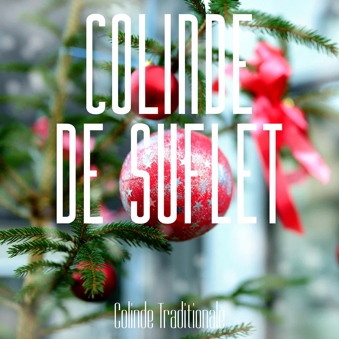 Постер альбома Colinde De Suflet