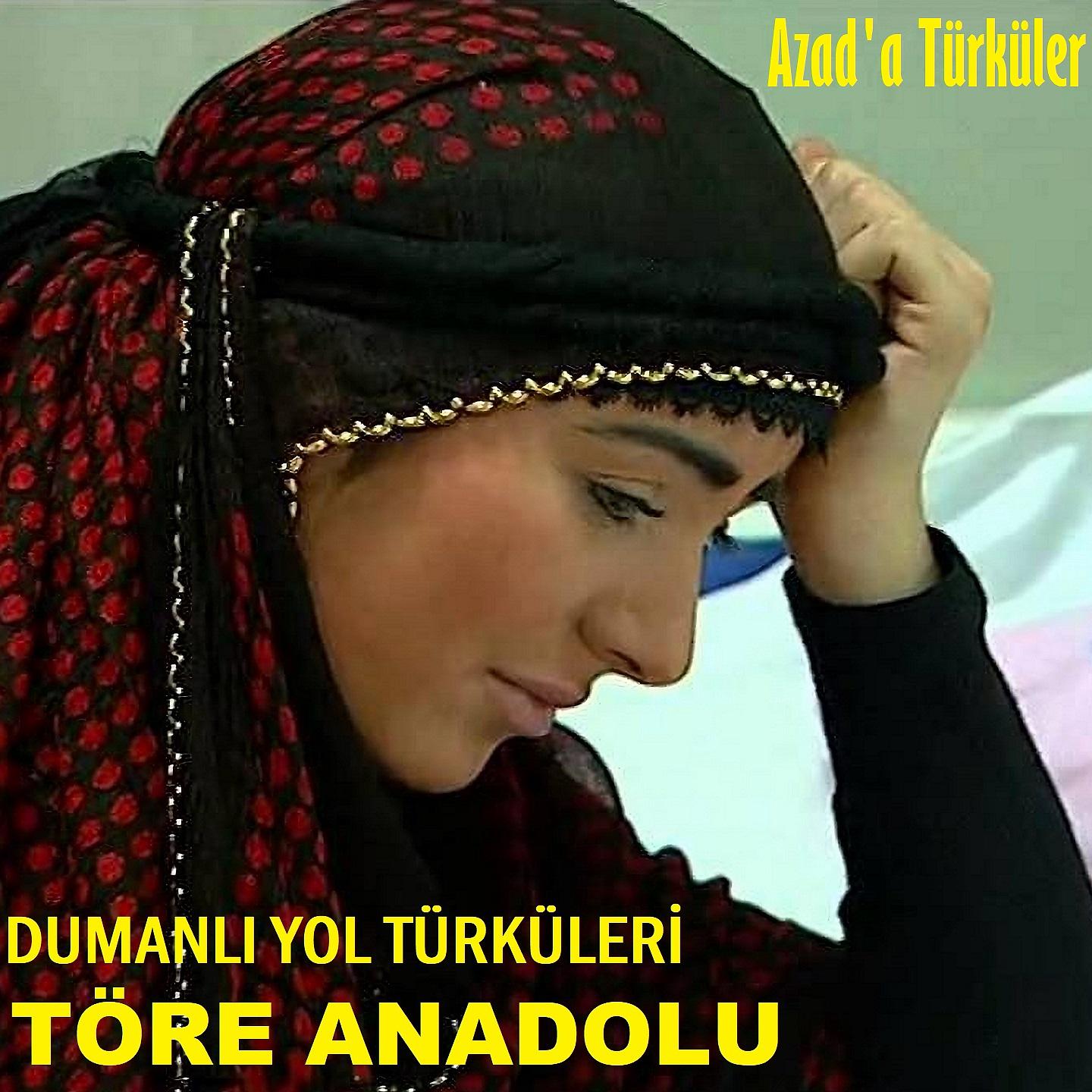 Постер альбома Dumanlı Yol Türküleri