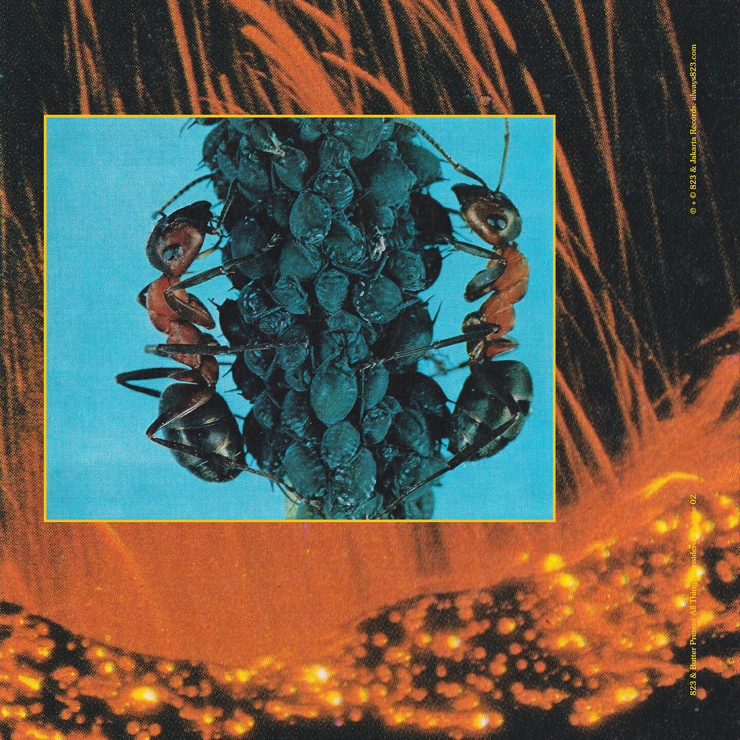 Jadu Jadu - senzu bean