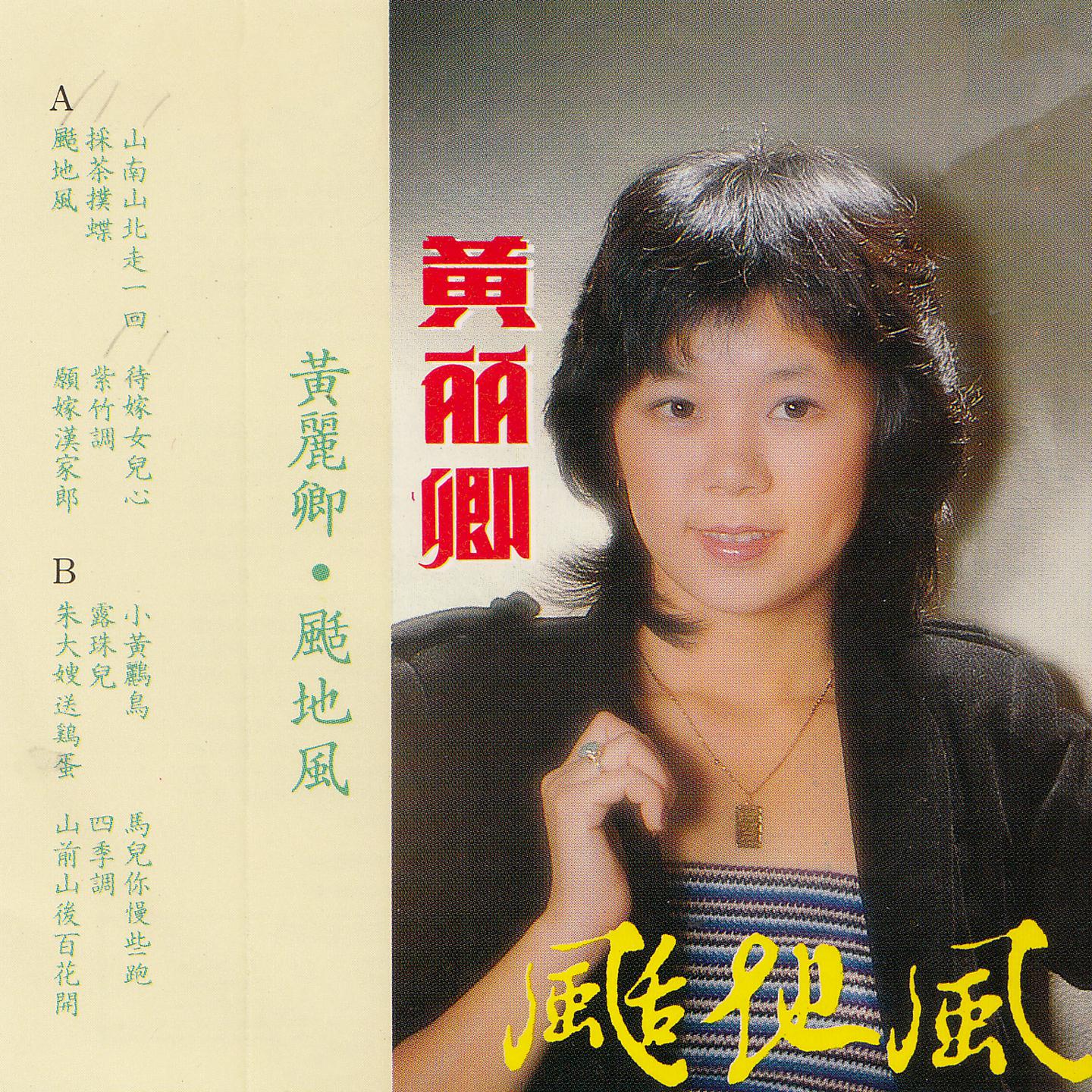 Постер альбома 颳地風