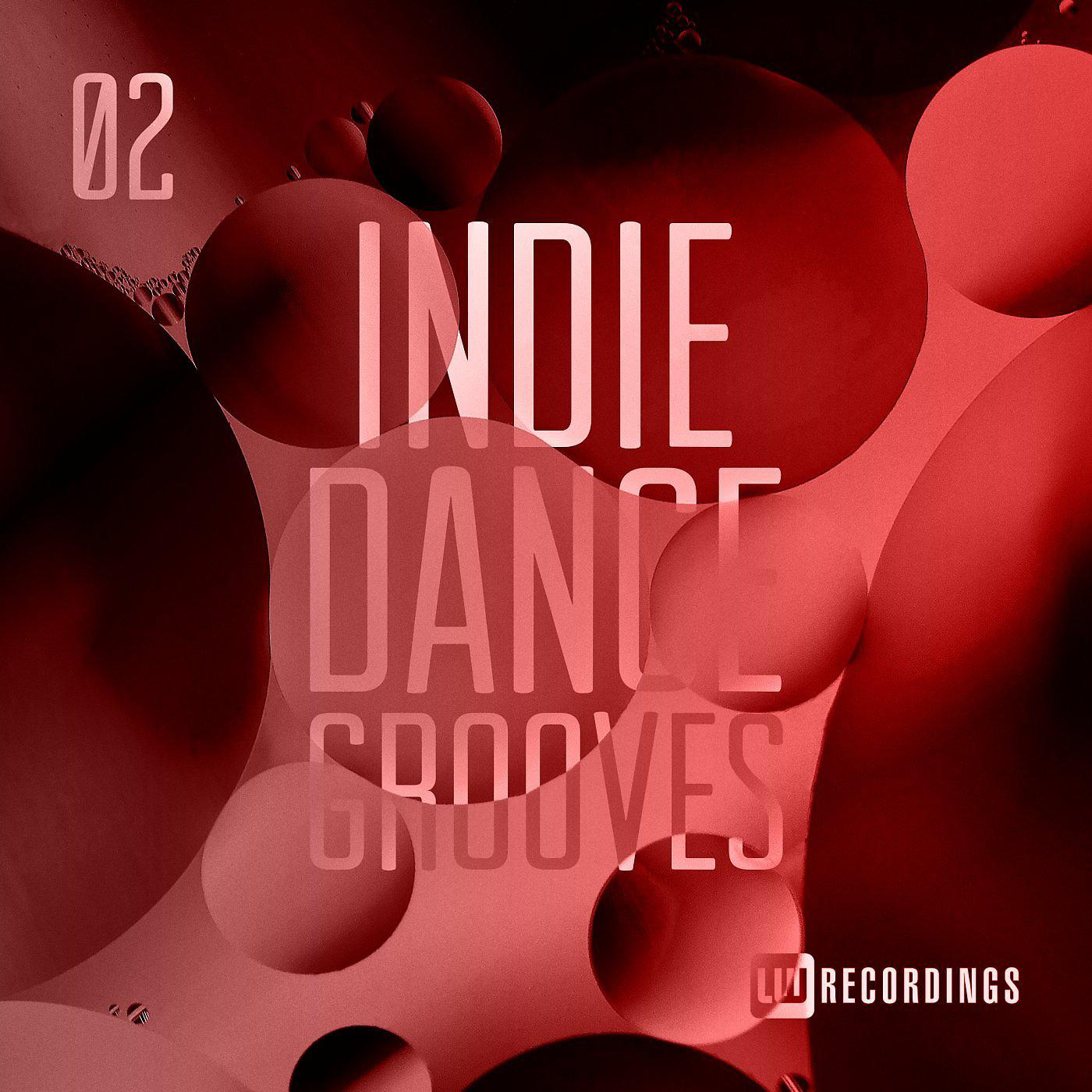 Постер альбома Indie Dance Grooves, Vol. 02