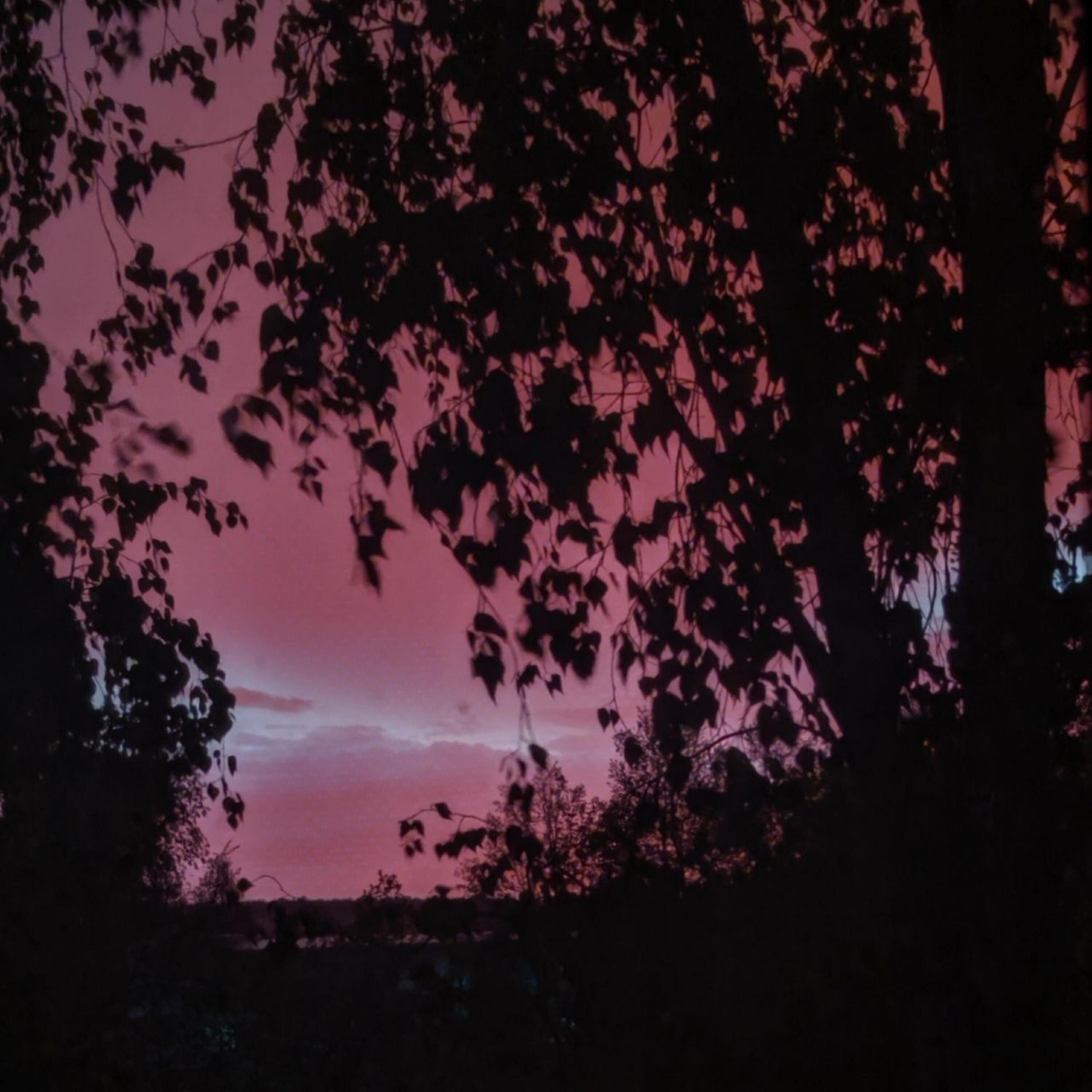 Альбом Я не один исполнителя encn, Хочу быть твоим