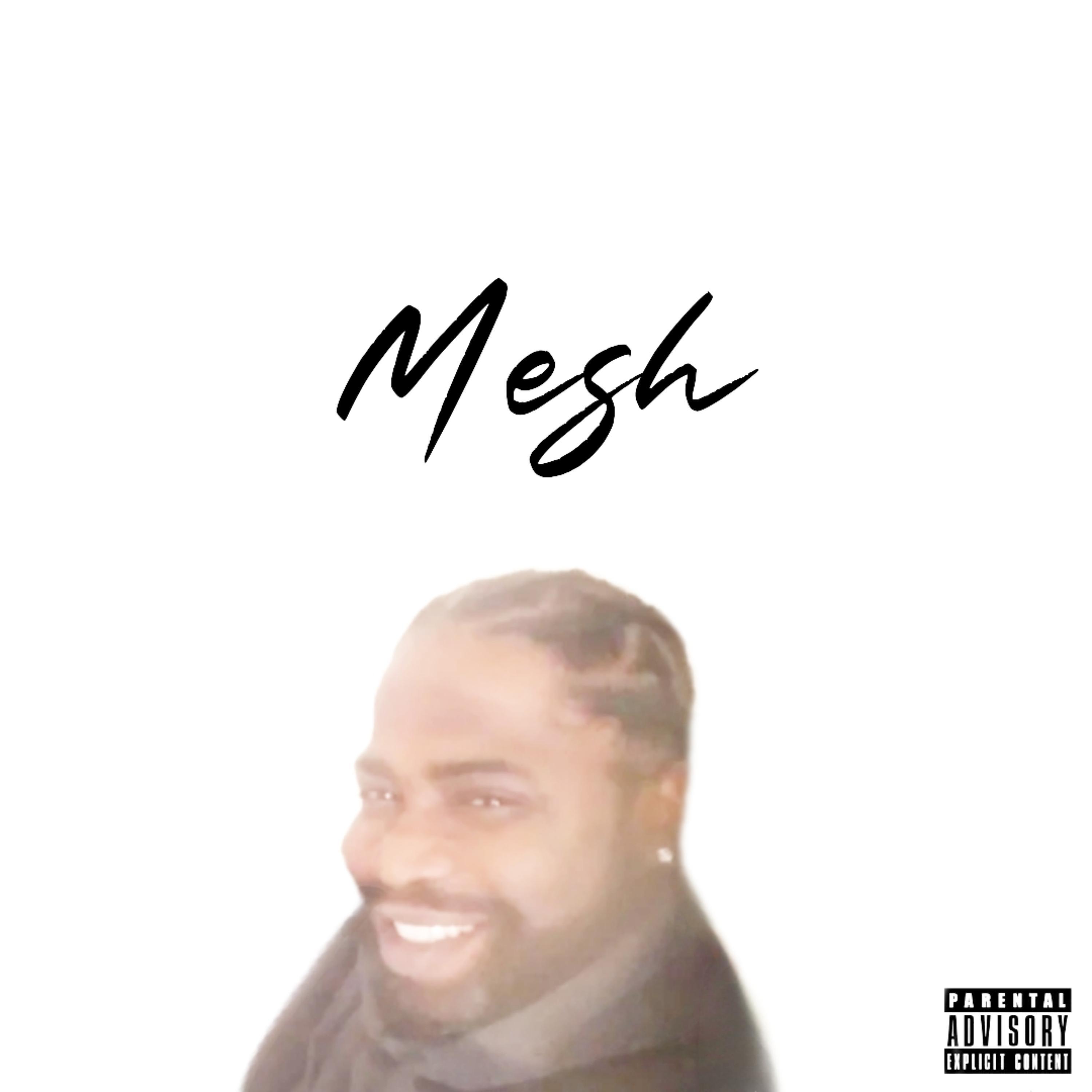 Постер альбома Mesh