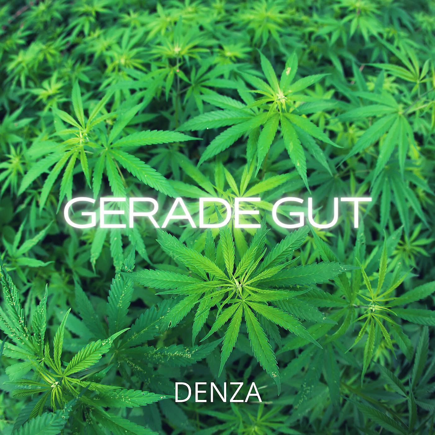 Постер альбома Gerade Gut