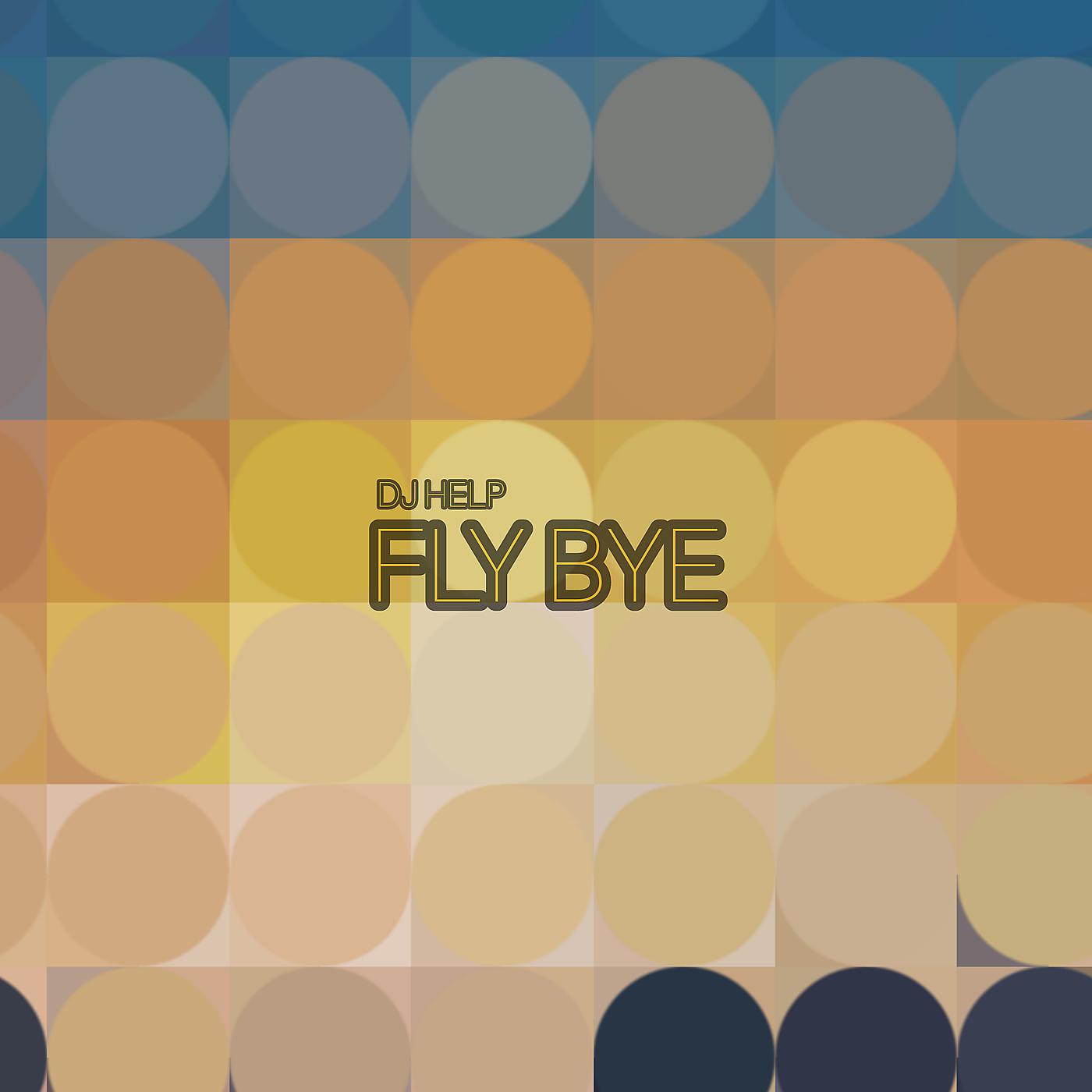 Постер альбома Fly Bye