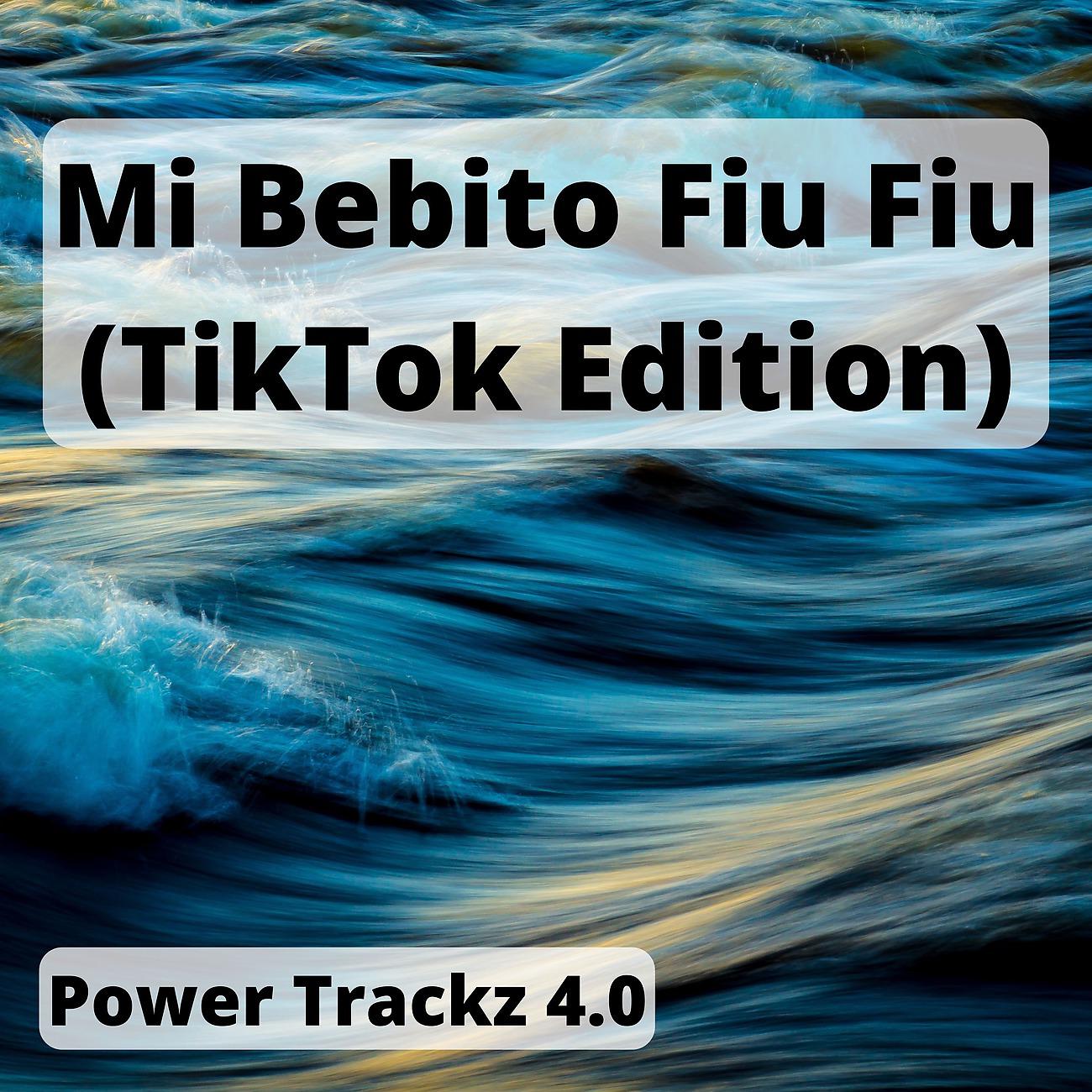 Постер альбома Mi Bebito Fiu Fiu (TikTok Edition)