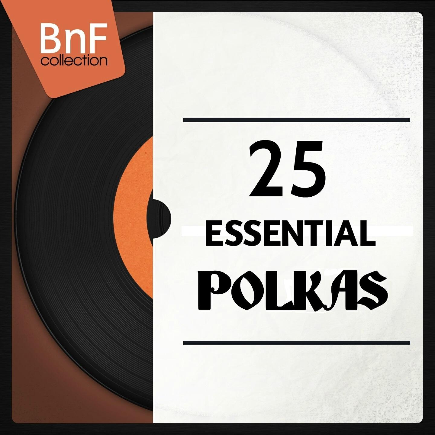 Dick Contino et son orchestre - The Blue Skirt Waltz
