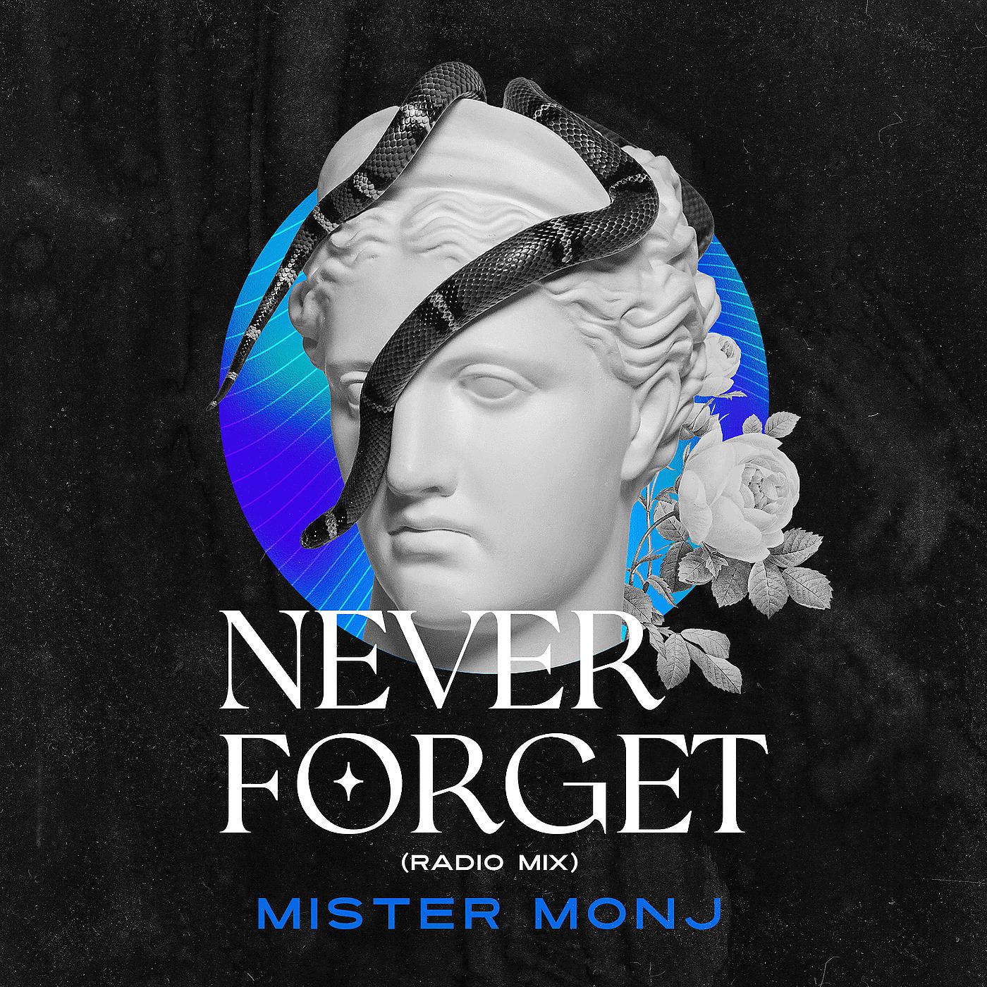 Постер альбома Never Forget (Radio Mix)