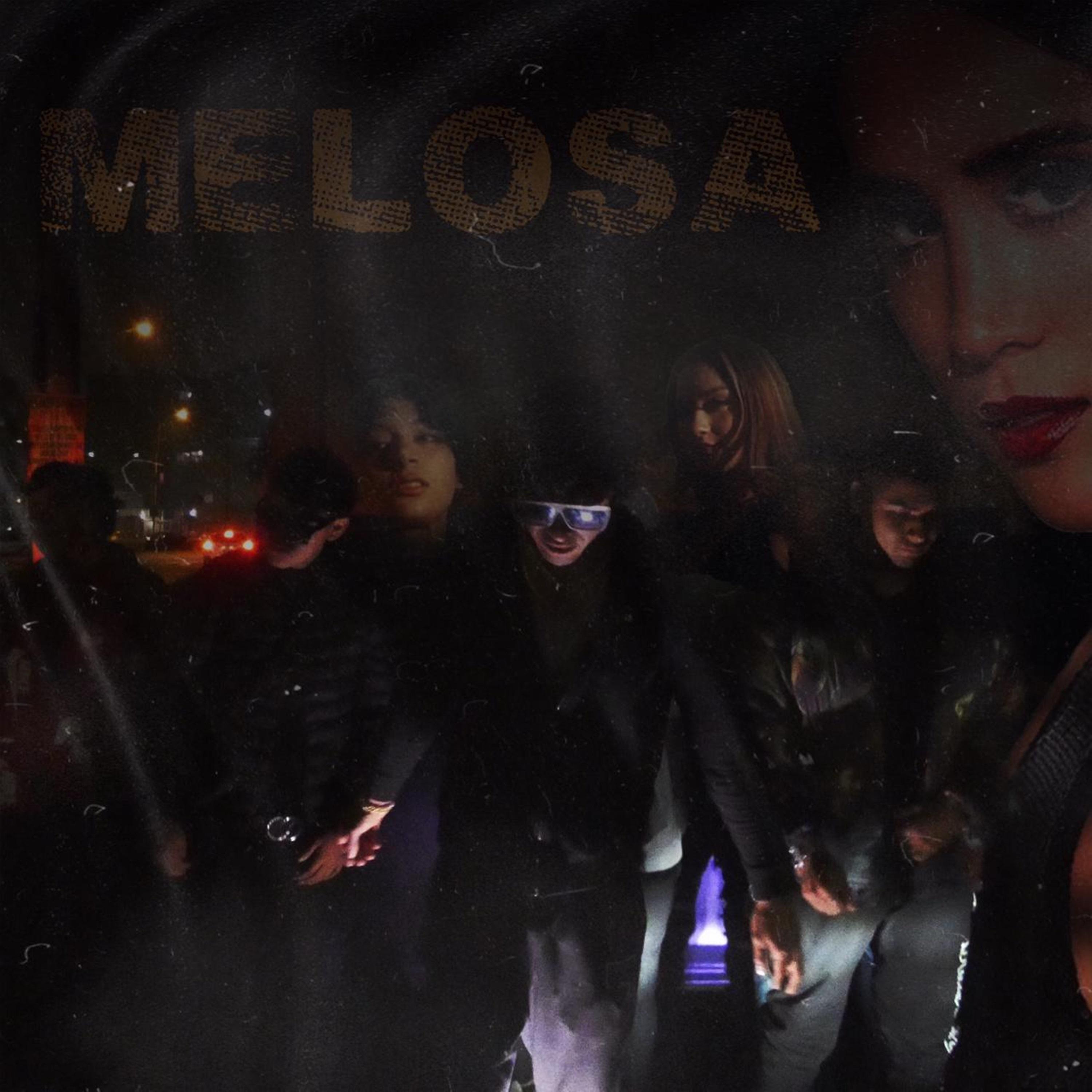 Постер альбома Melosa