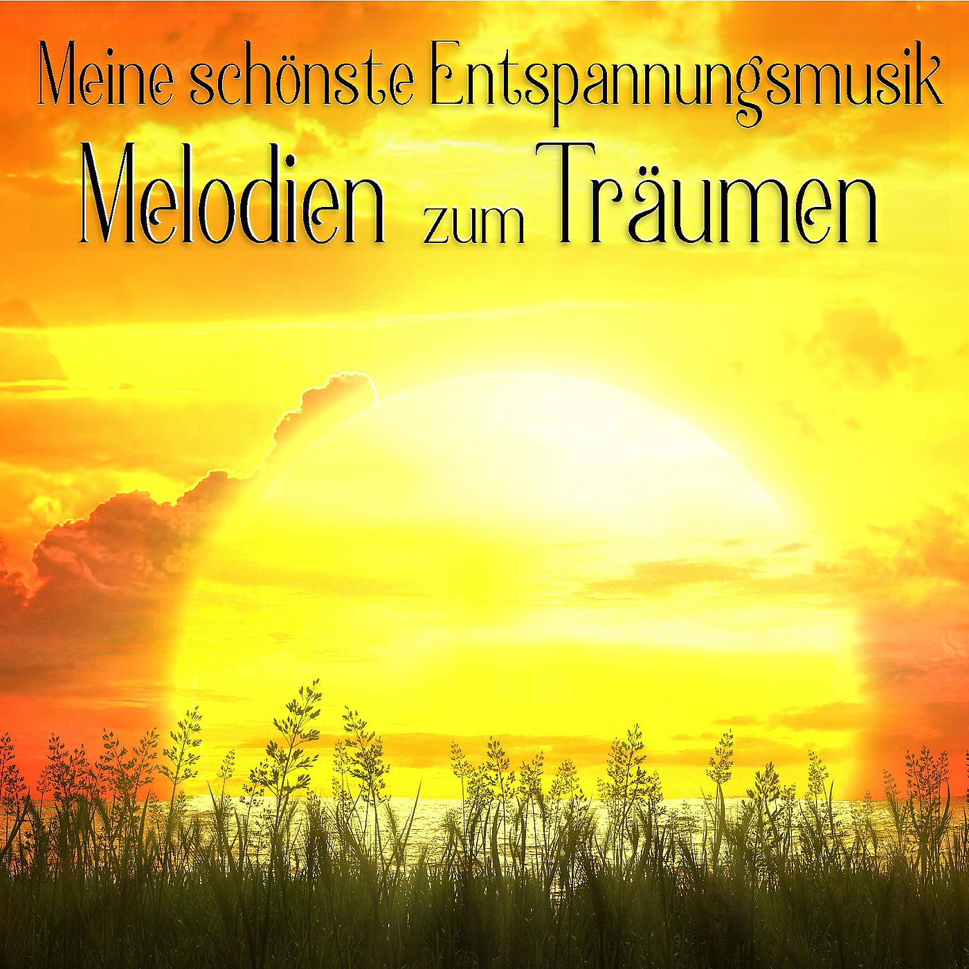 Постер альбома Meine Schönste Entspannungsmusik, Melodien Zum Träumen