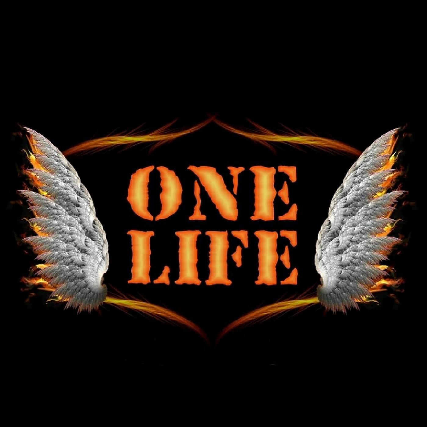 Постер альбома One Life