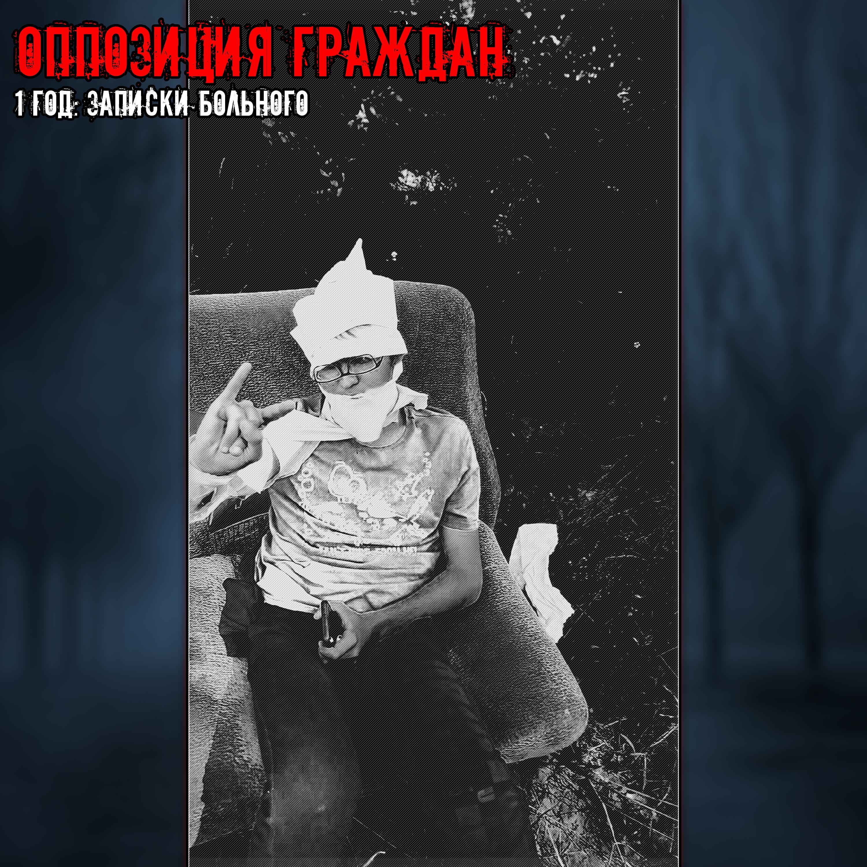 Постер альбома 1 год: Записки психбольного (Version 2.0)