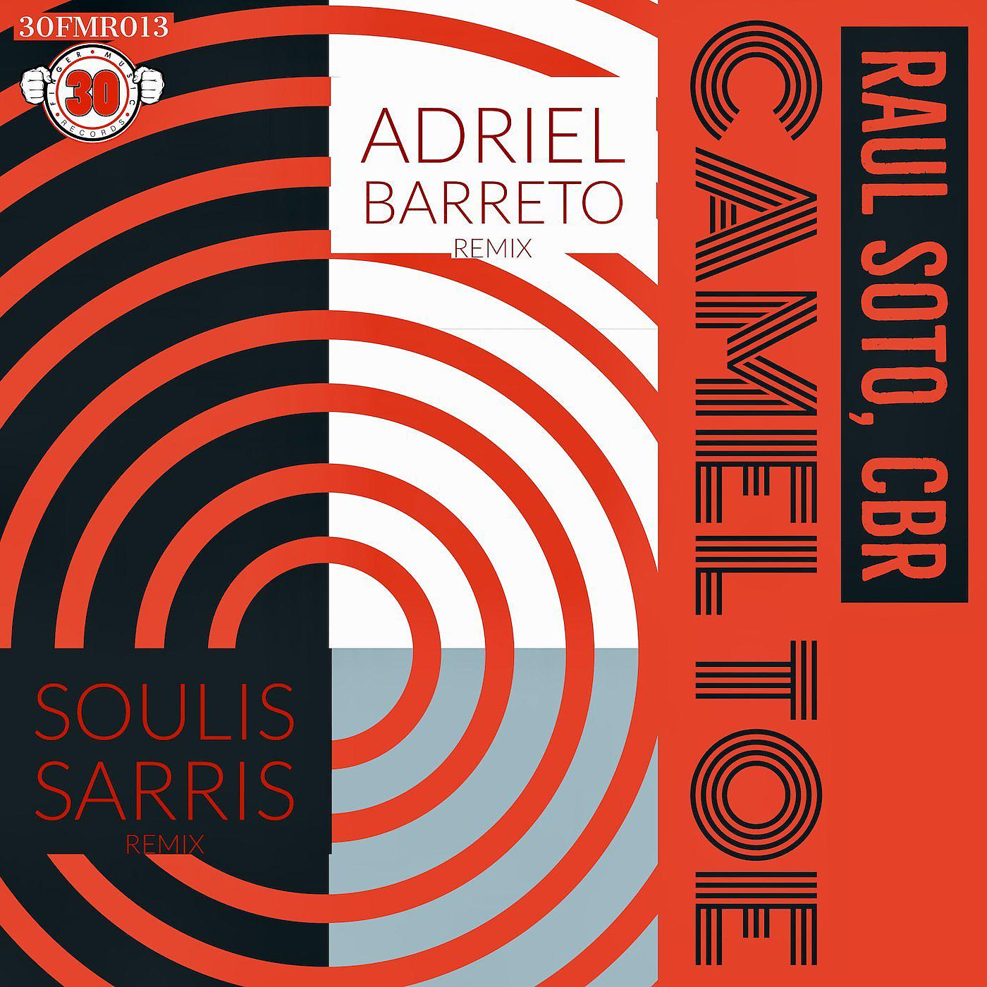 Постер альбома Camel Toe (Remixes)