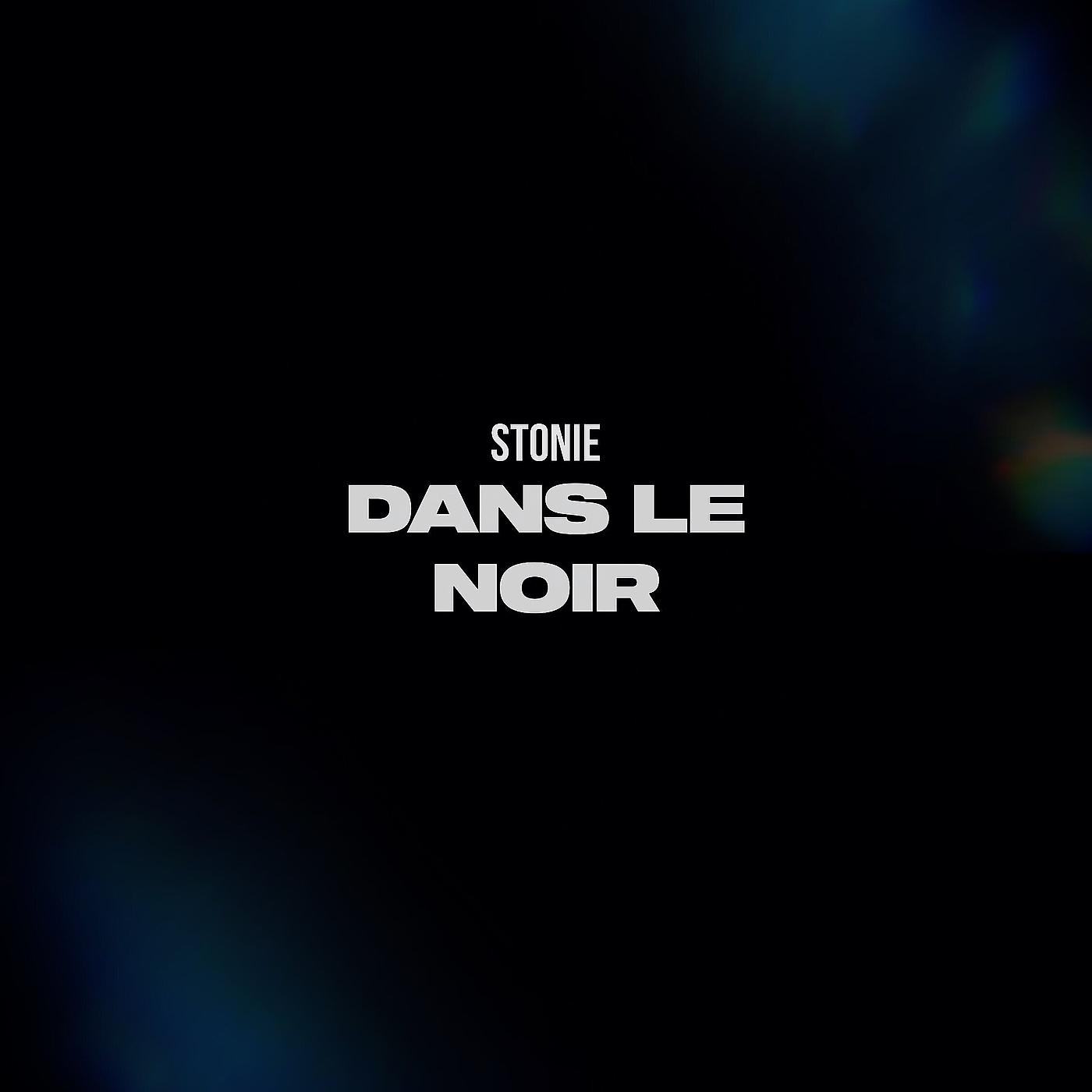 Постер альбома Dans Le Noir