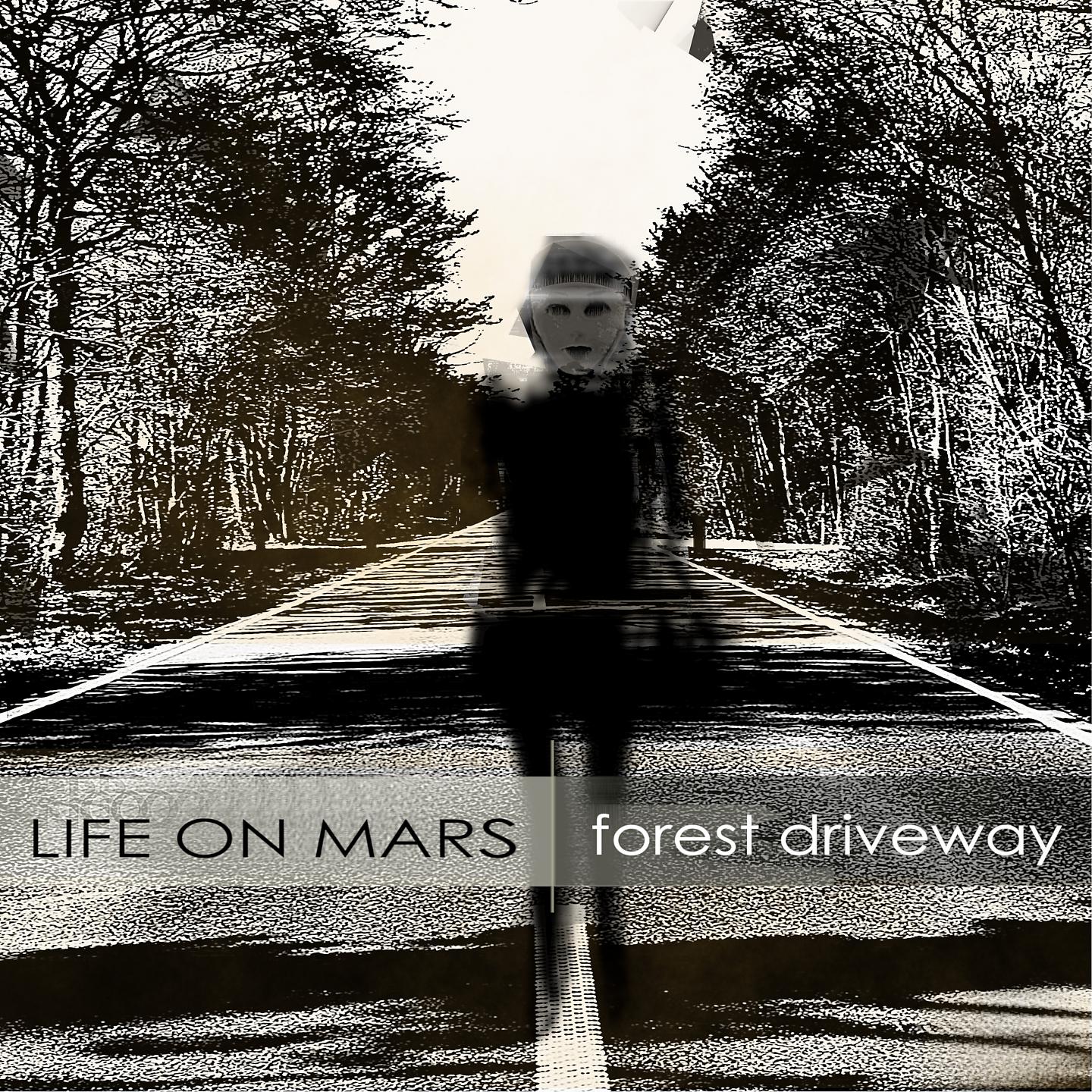 Постер альбома Forest Driveway