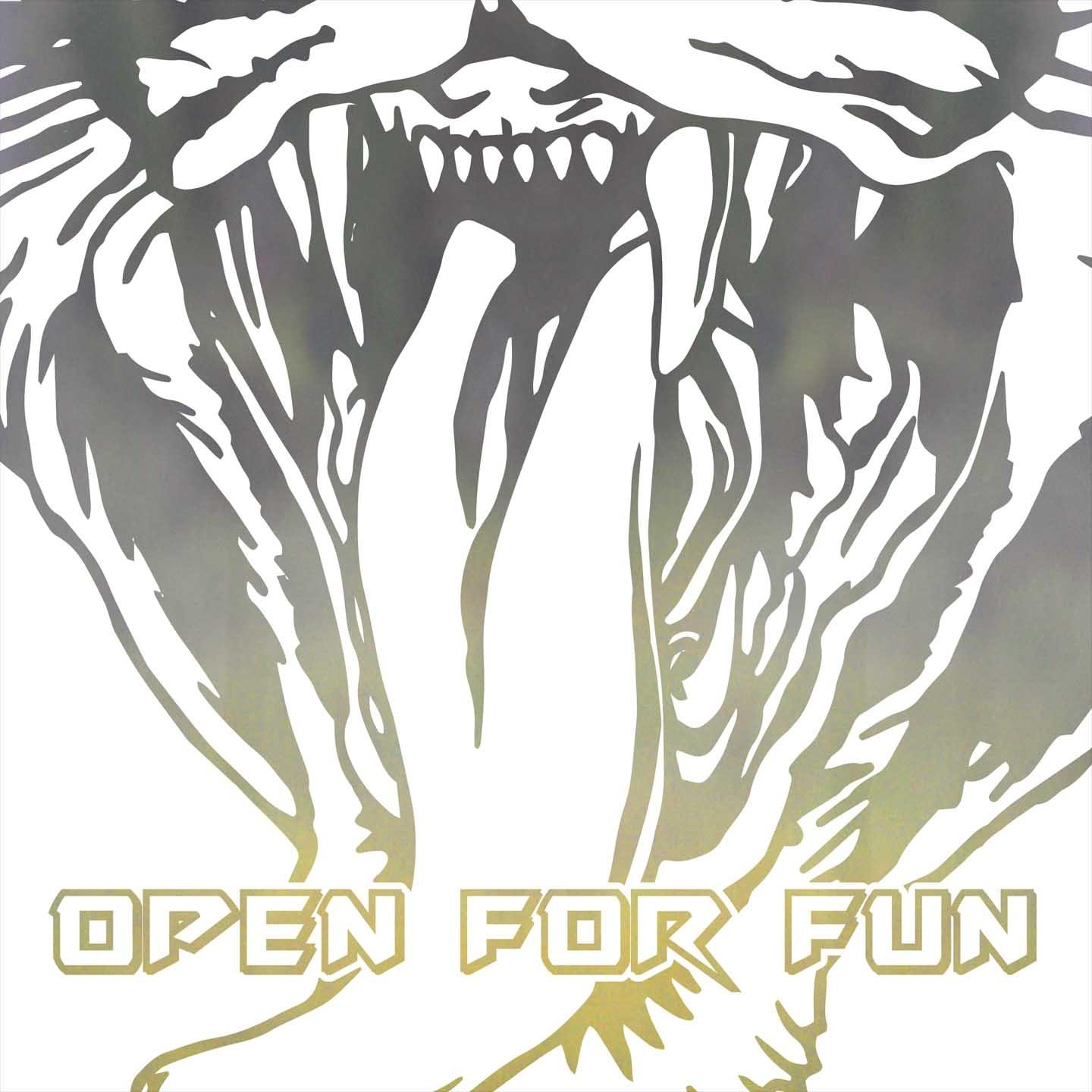 Постер альбома Open for Fun