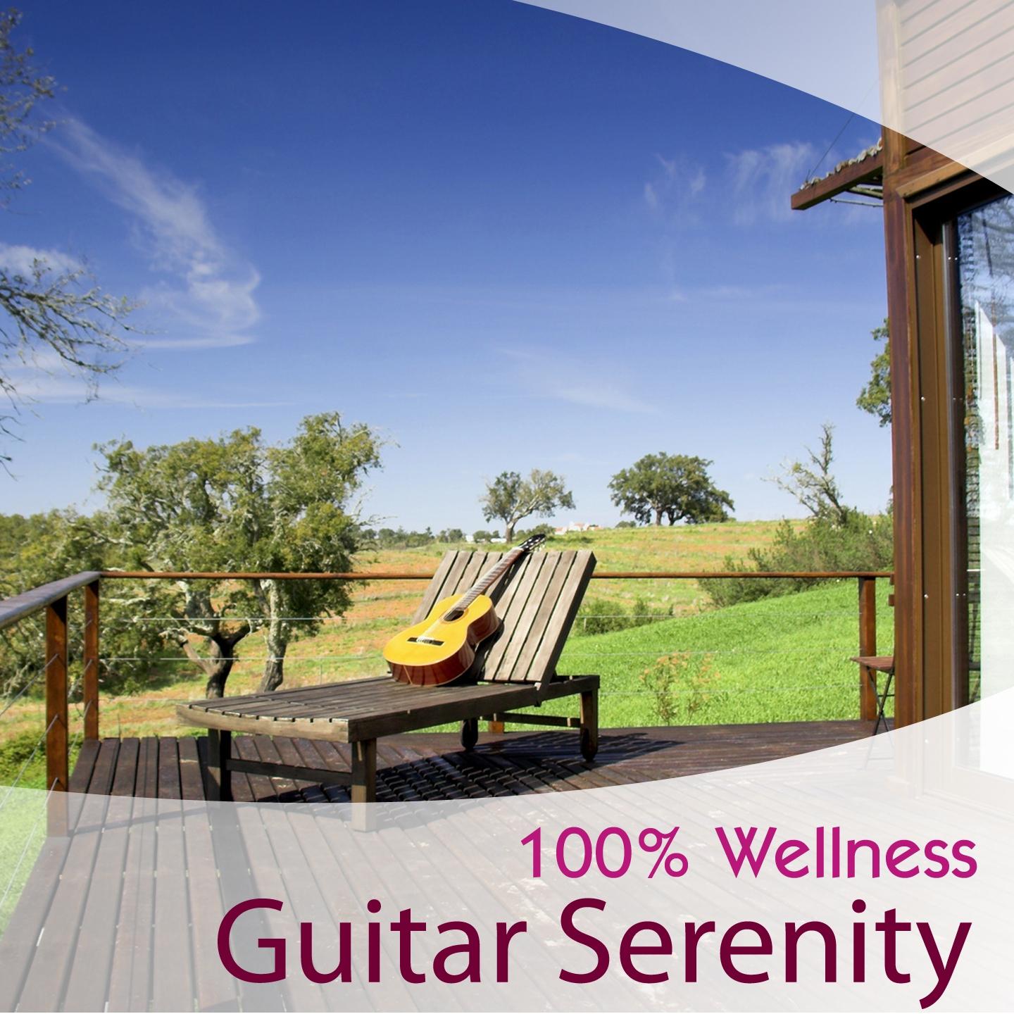 Постер альбома Guitar Serenity