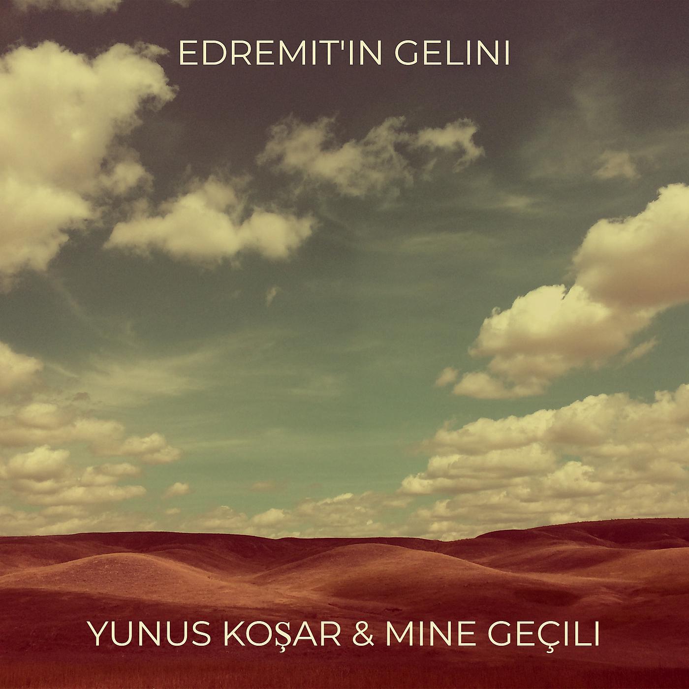 Постер альбома Edremit'in Gelini