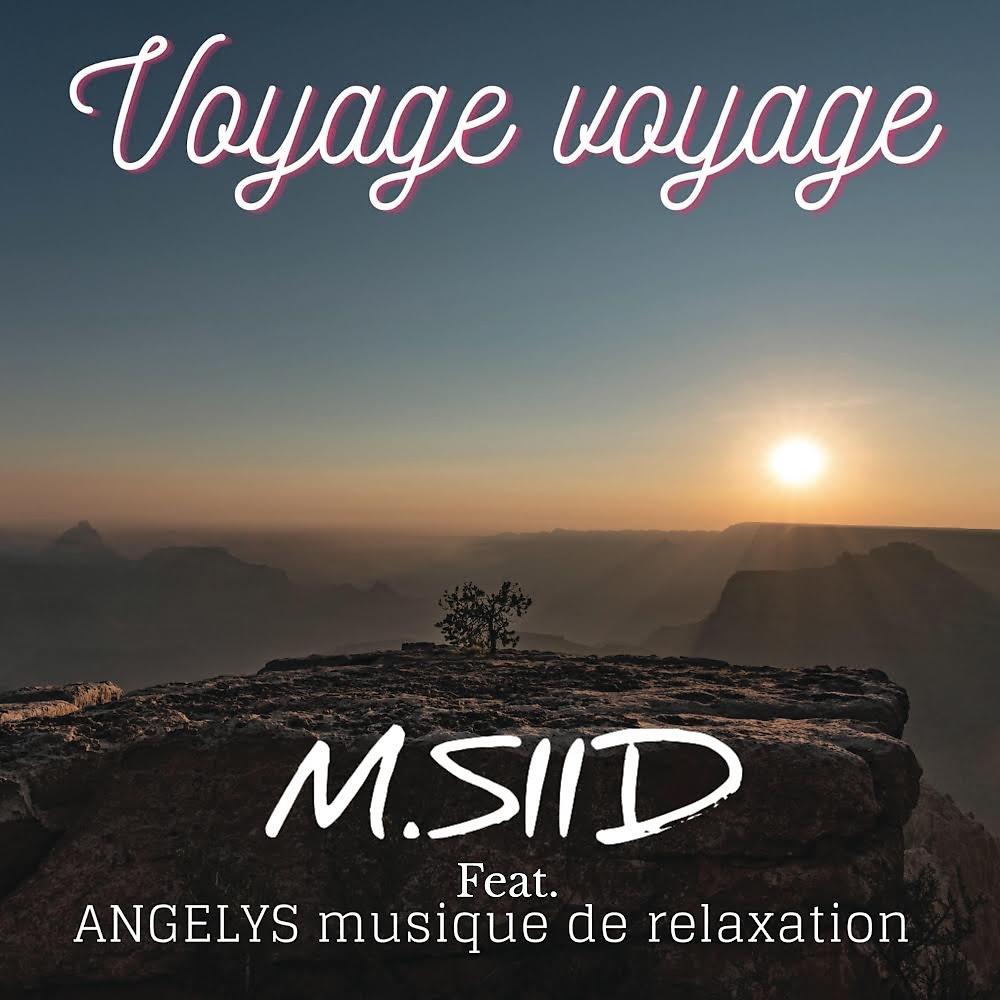 Постер альбома Voyage voyage (Radio Edit)