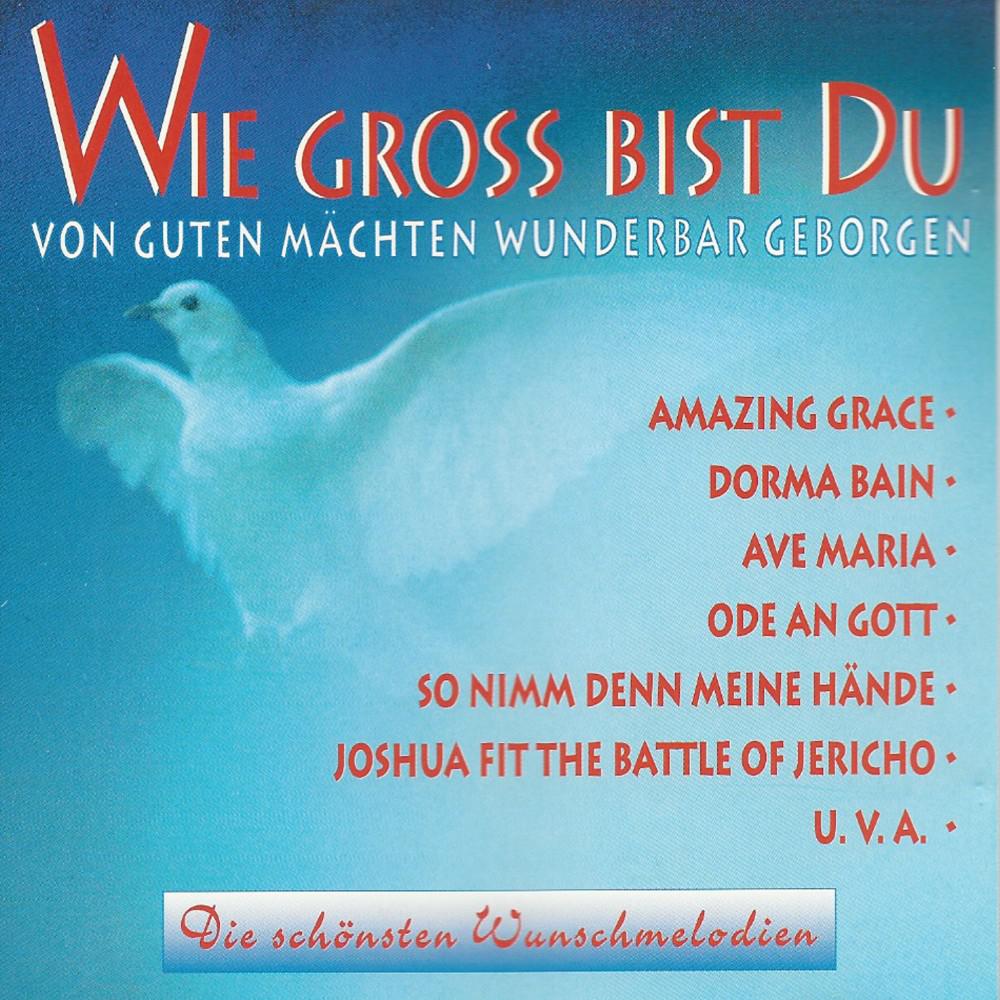 Постер альбома Die schönsten Wunschmelodien (Wie gross bist du)
