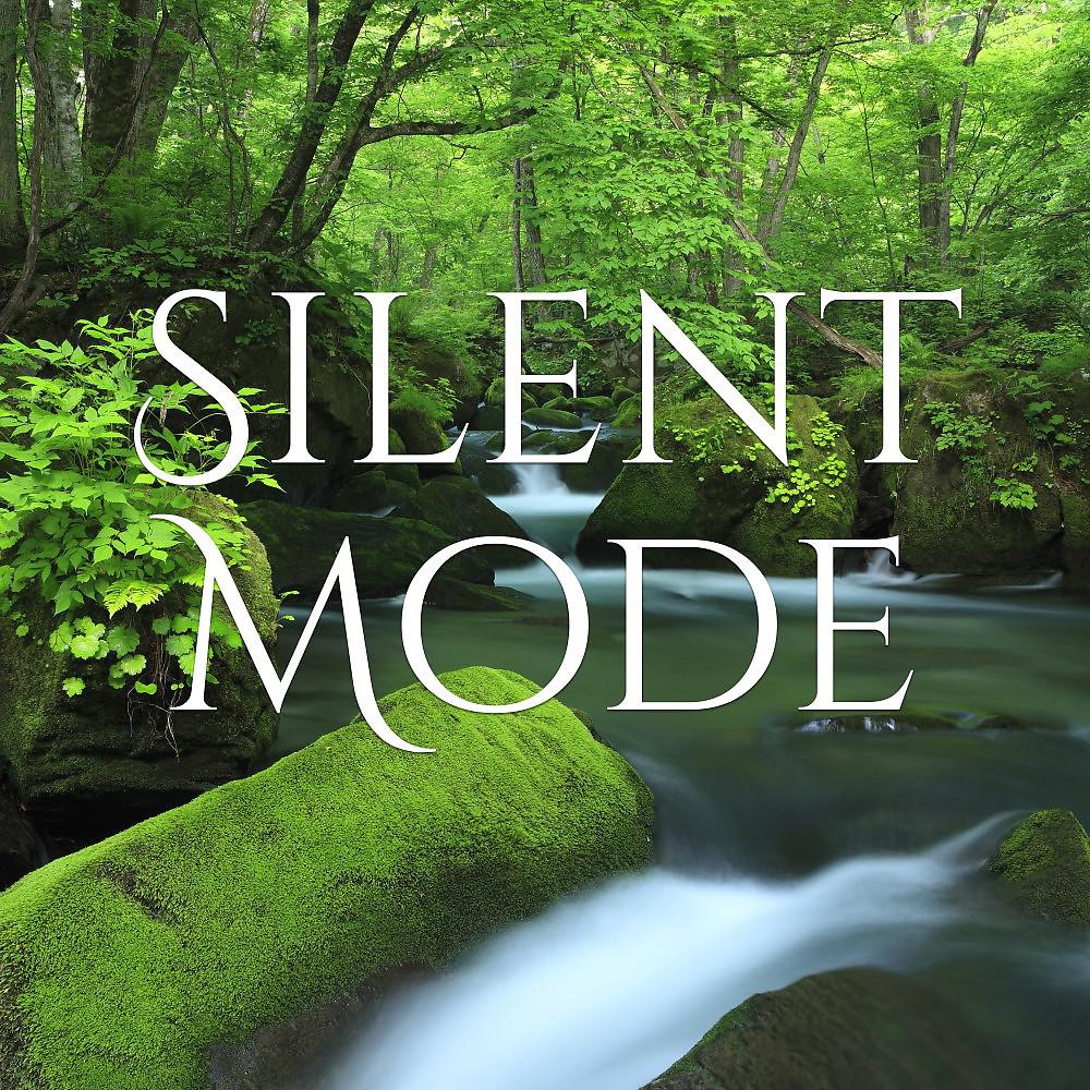 Постер альбома Silent Mode
