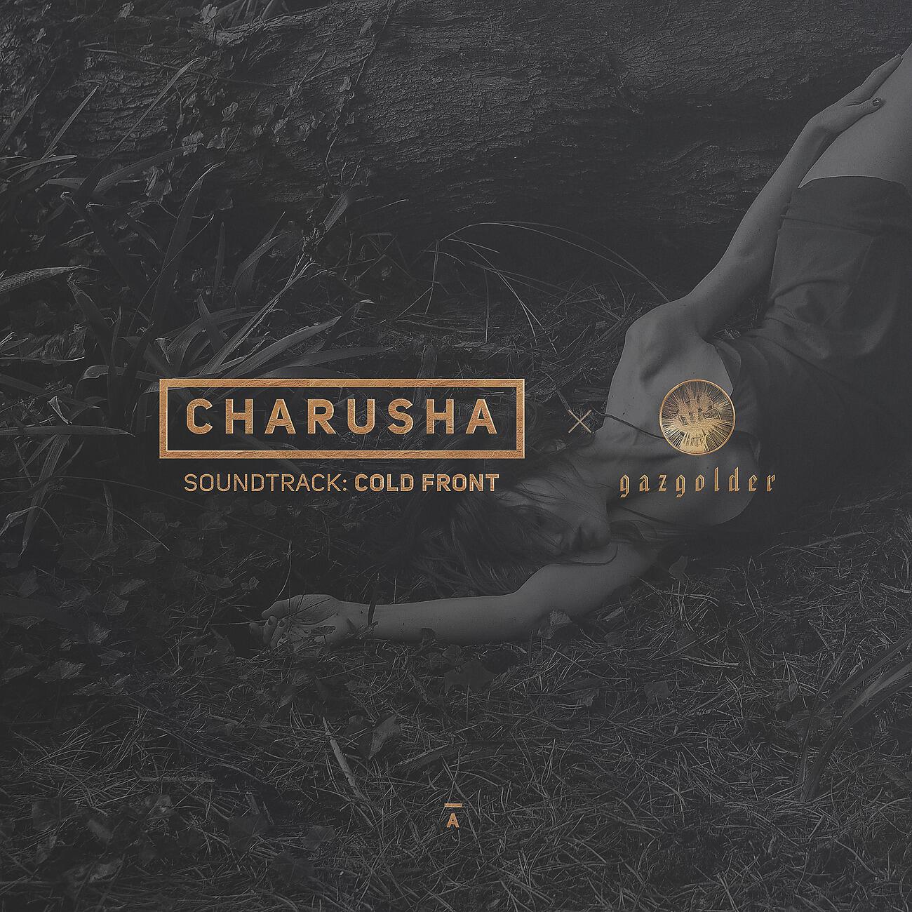 Charusha - Новый год