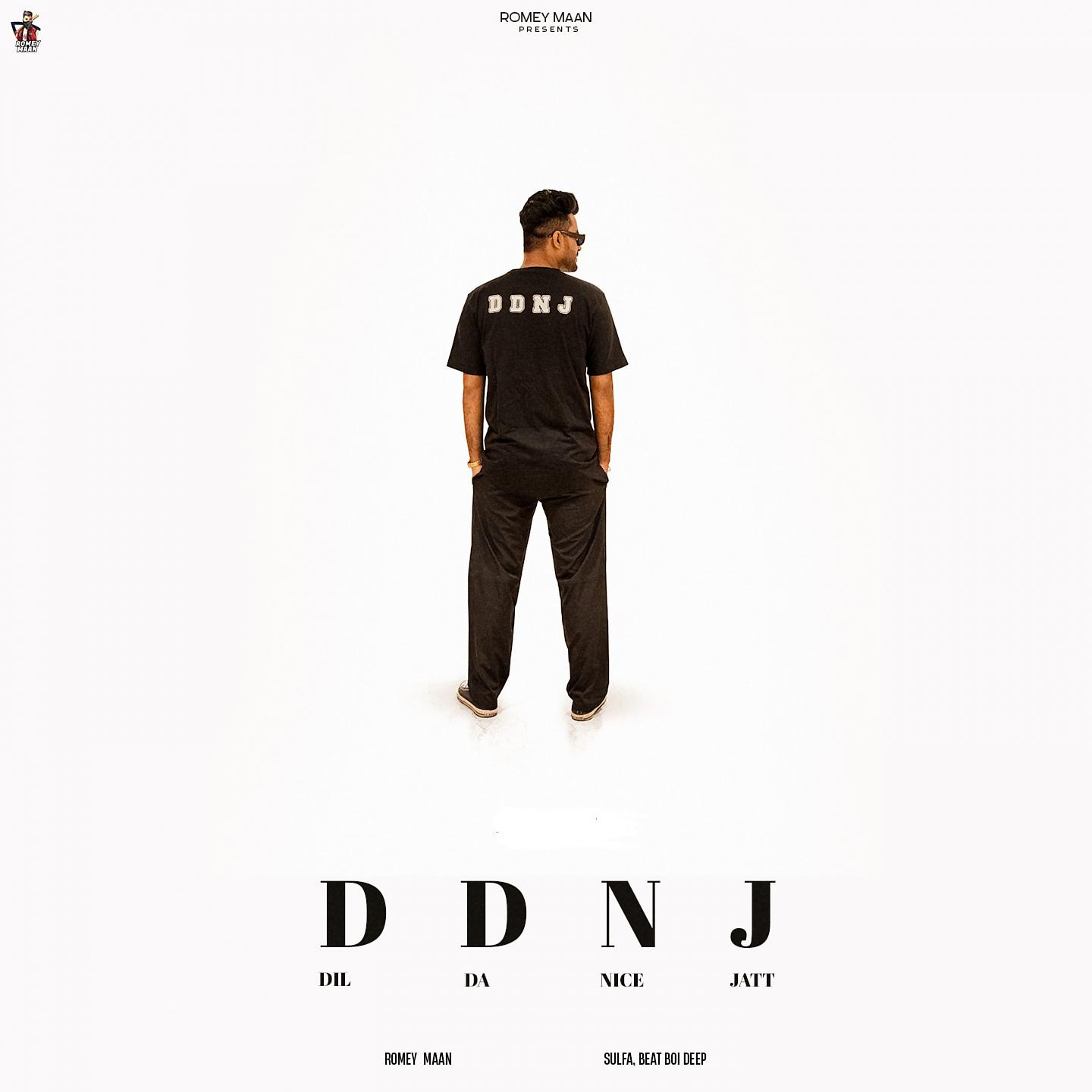 Постер альбома DDNJ