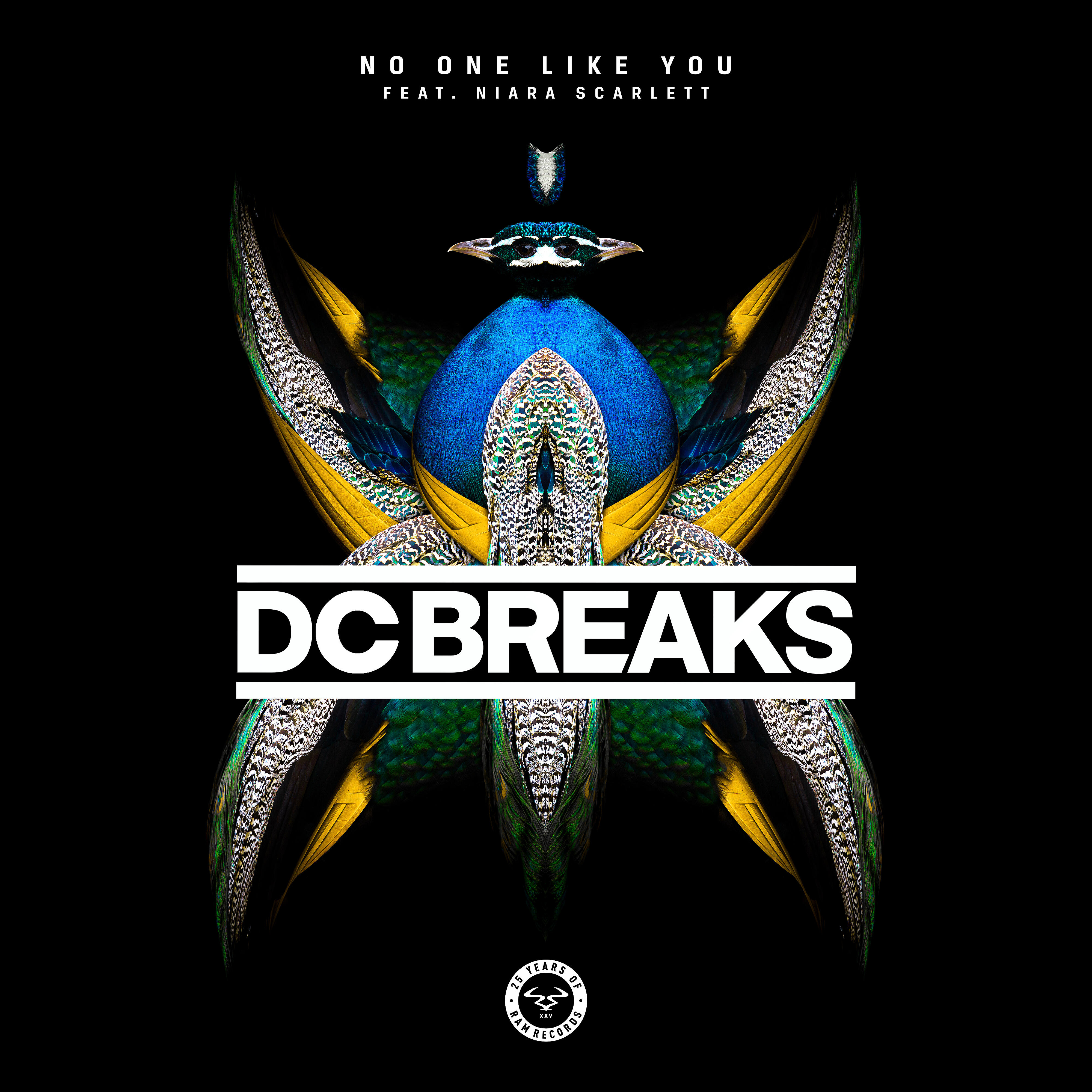 DC Breaks - No One Like You (feat. Niara Scarlett)