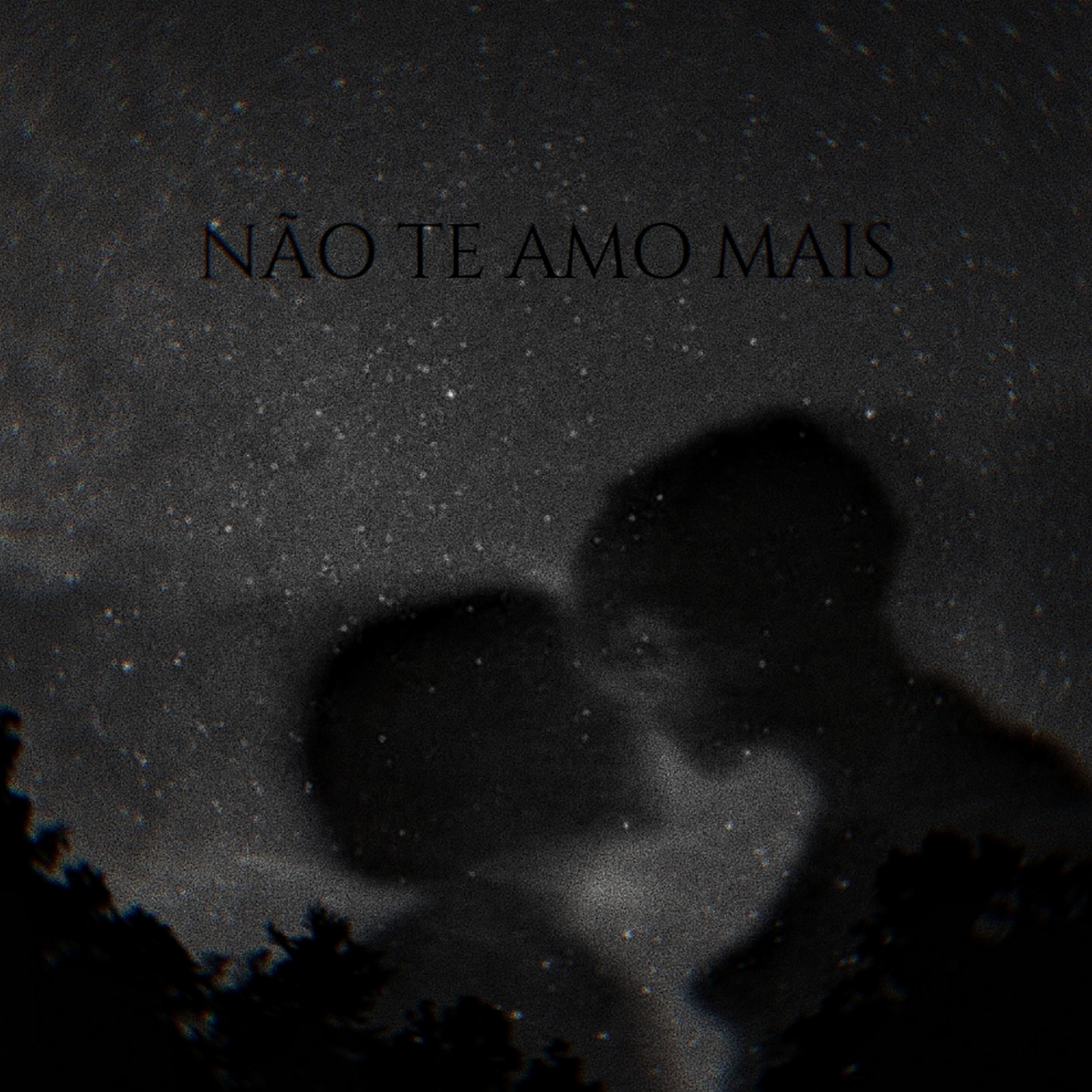 Постер альбома Não Te Amo Mais