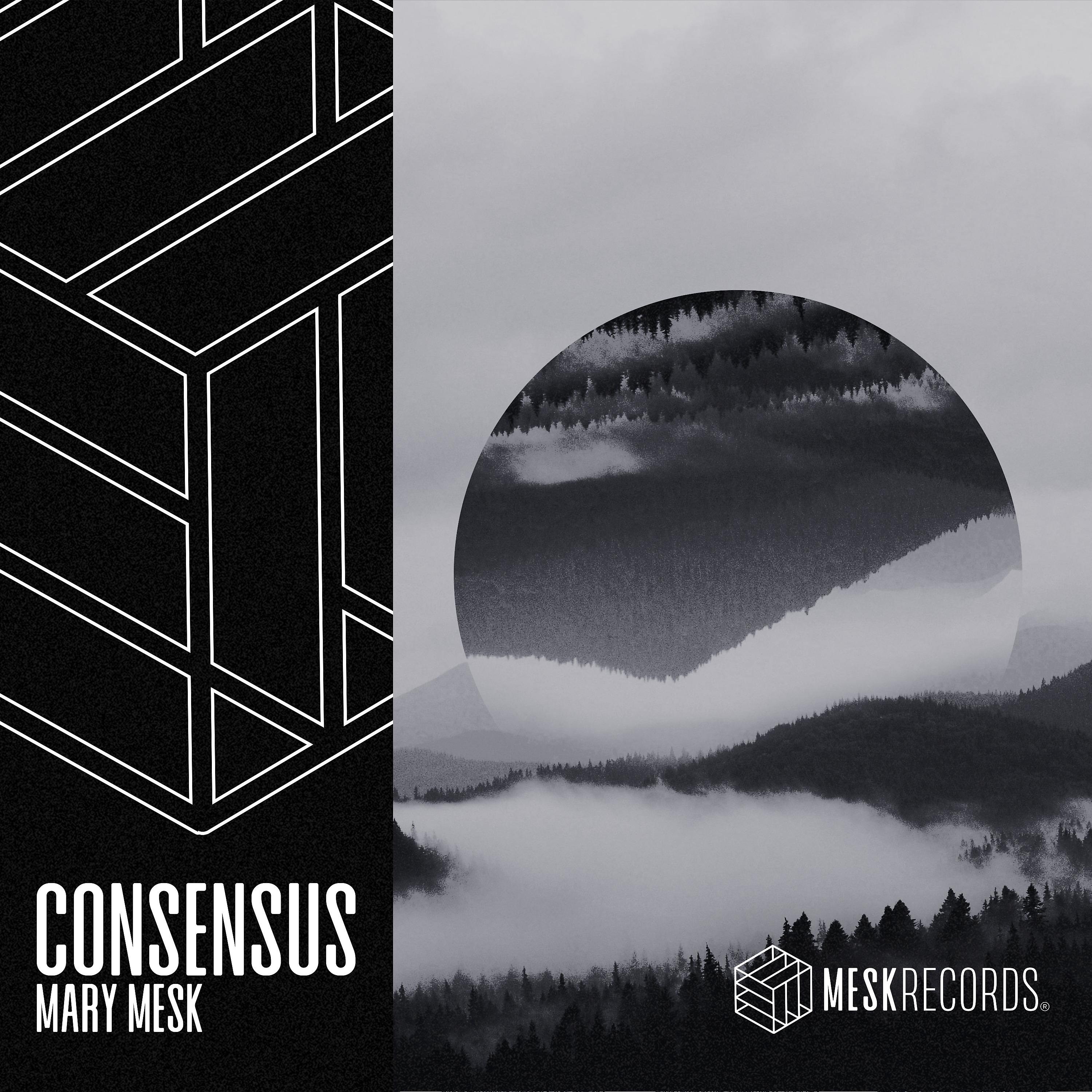 Постер альбома Consensus