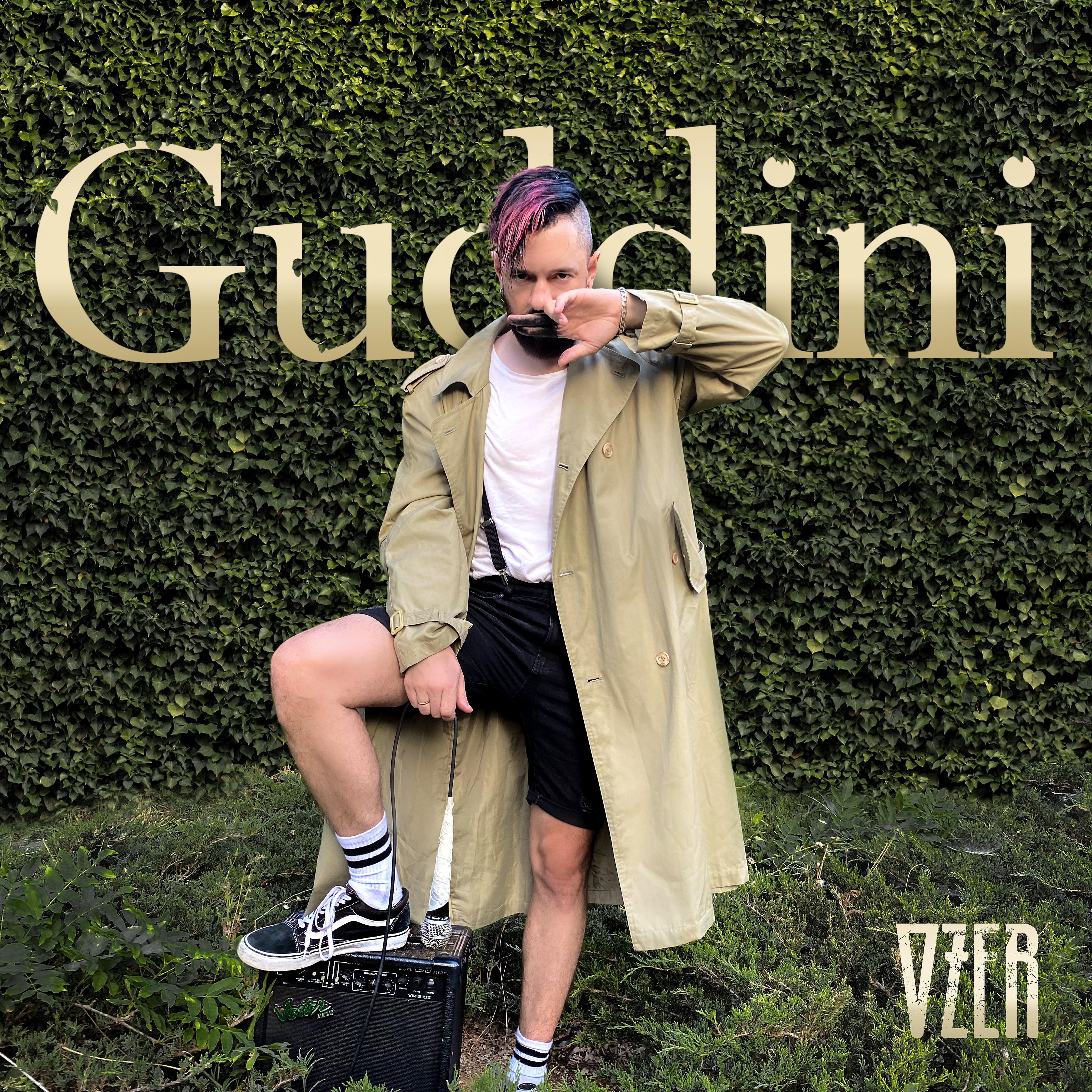 Постер альбома Guddini