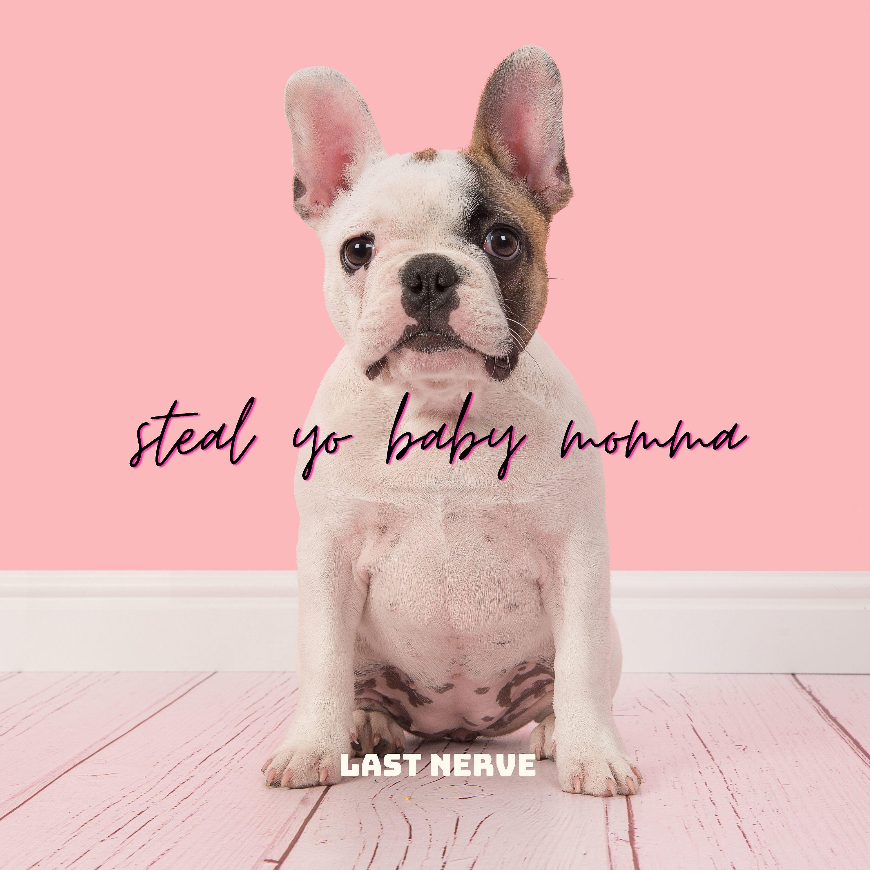 Постер альбома Steal Yo Baby Mama