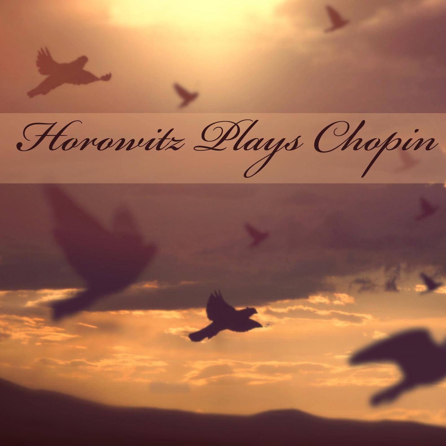 Постер альбома Horowitz Plays Chopin