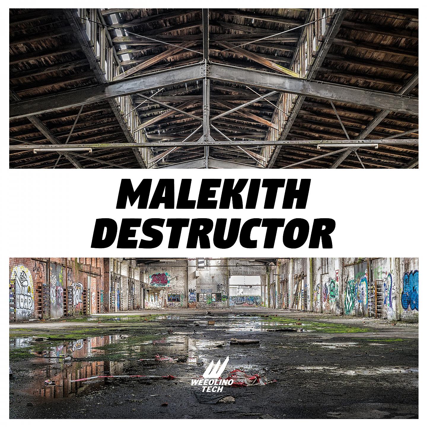 Постер альбома Destructor