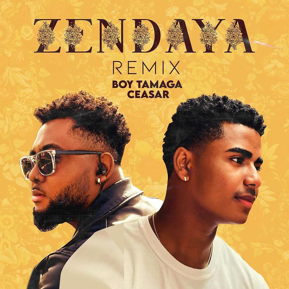 Постер альбома Zendaya (Remix)