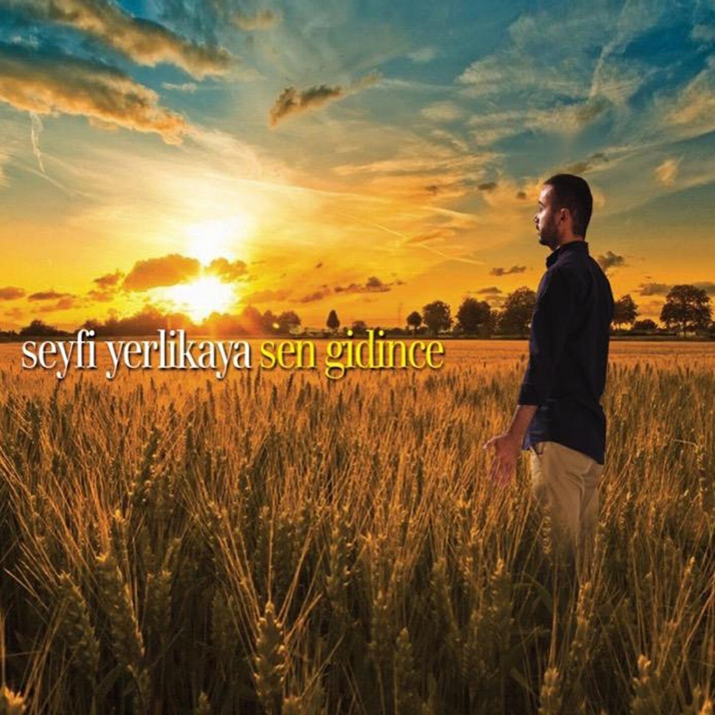 Seyfi Yerlikaya - Ayrılık Hasreti Kâr Etti Cana