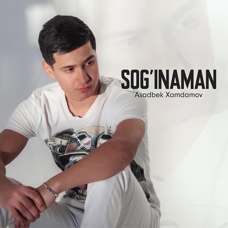 Постер альбома Sog'inaman