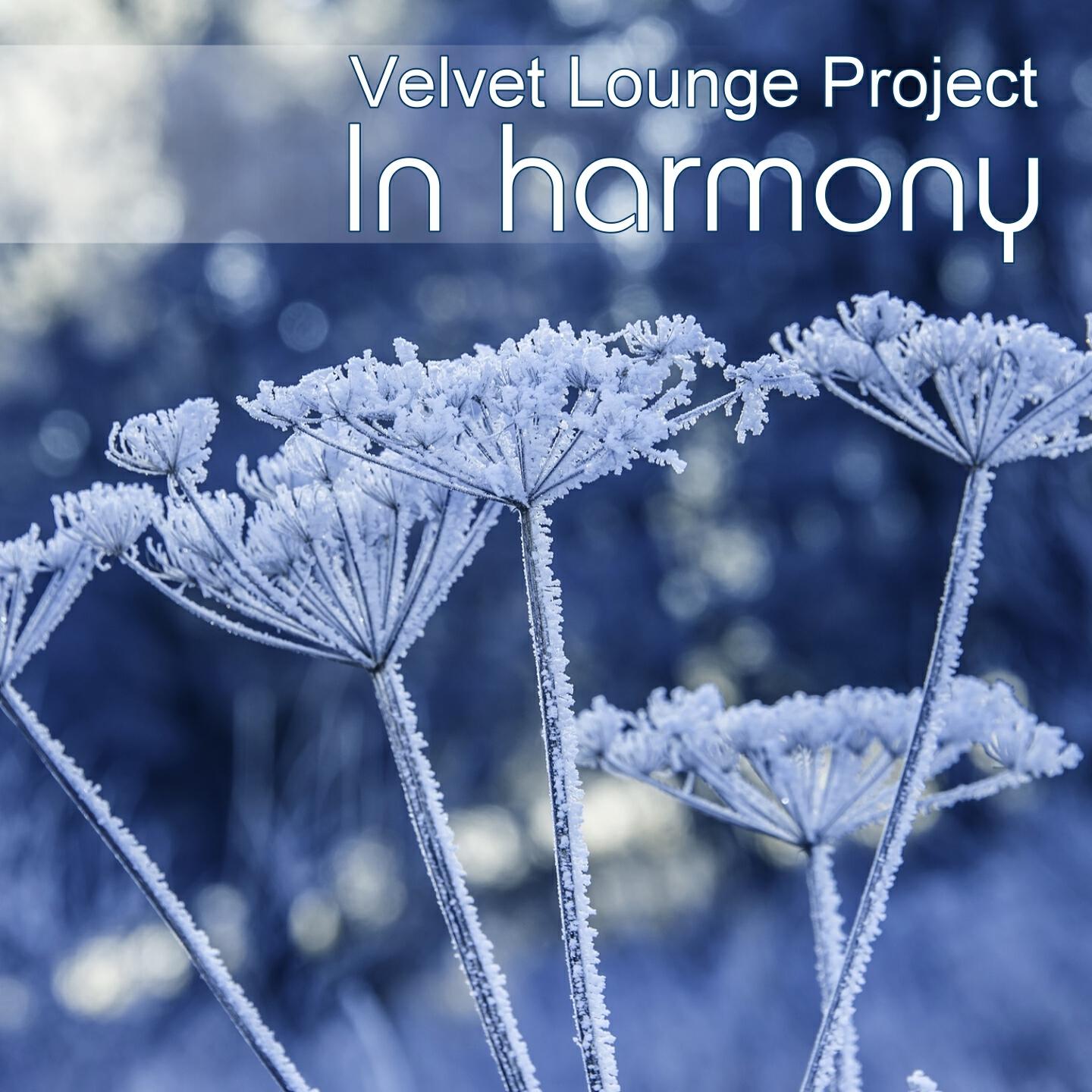 Velvet Lounge Project - In Harmony (Winter Chill)
