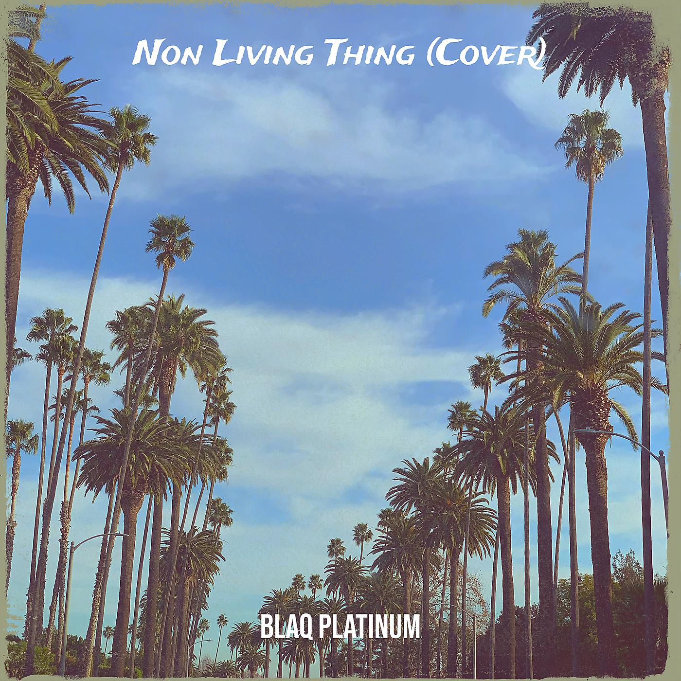 Постер альбома Non Living Thing (Cover)