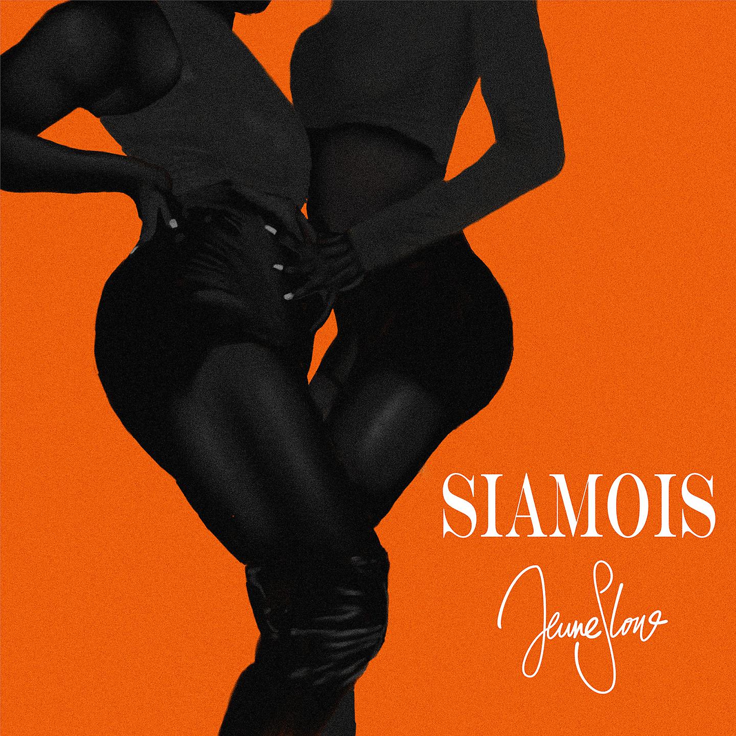 Постер альбома Siamois