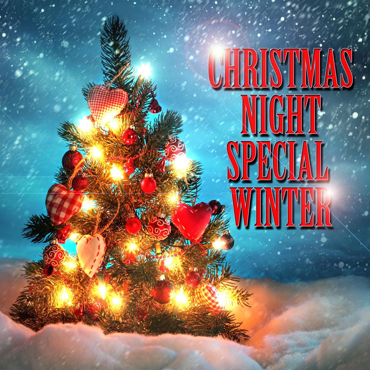 Постер альбома Christmas Night Special Winter