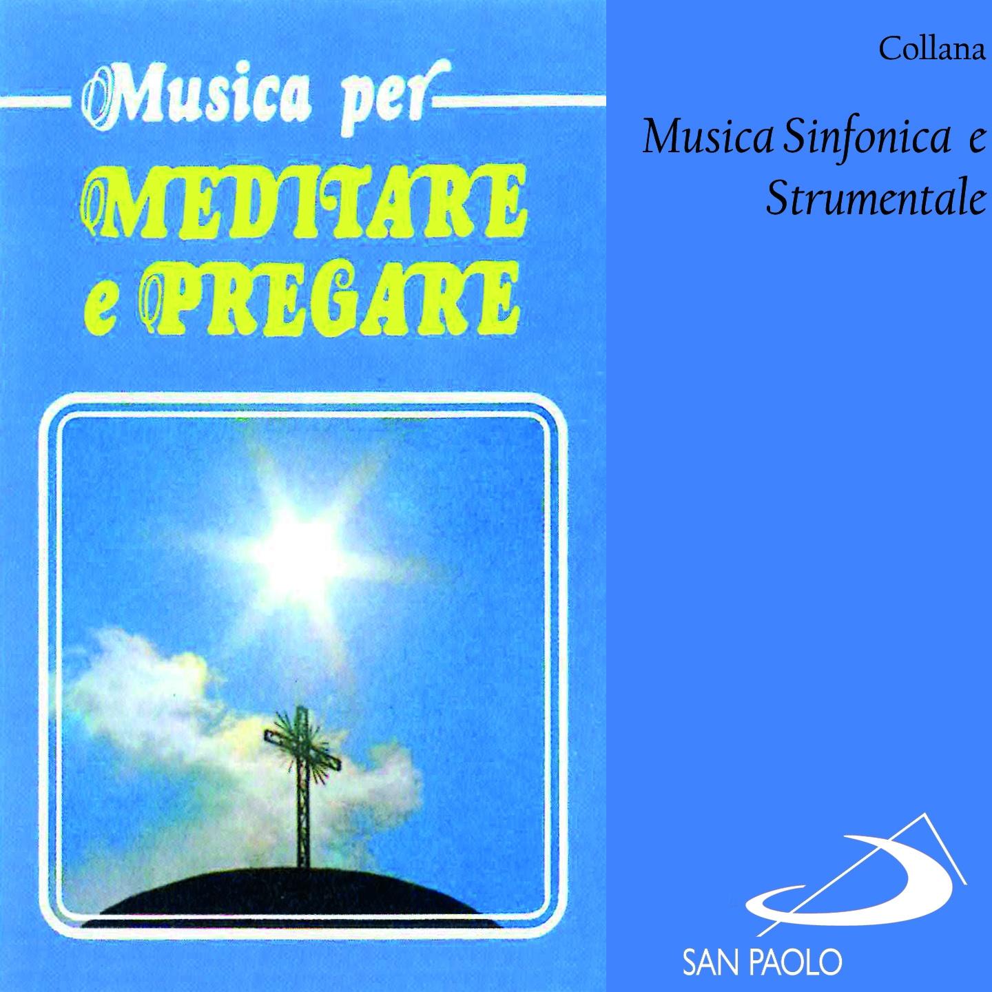 Постер альбома Collana musica sinfonica e strumentale: Musica per meditare e pregare