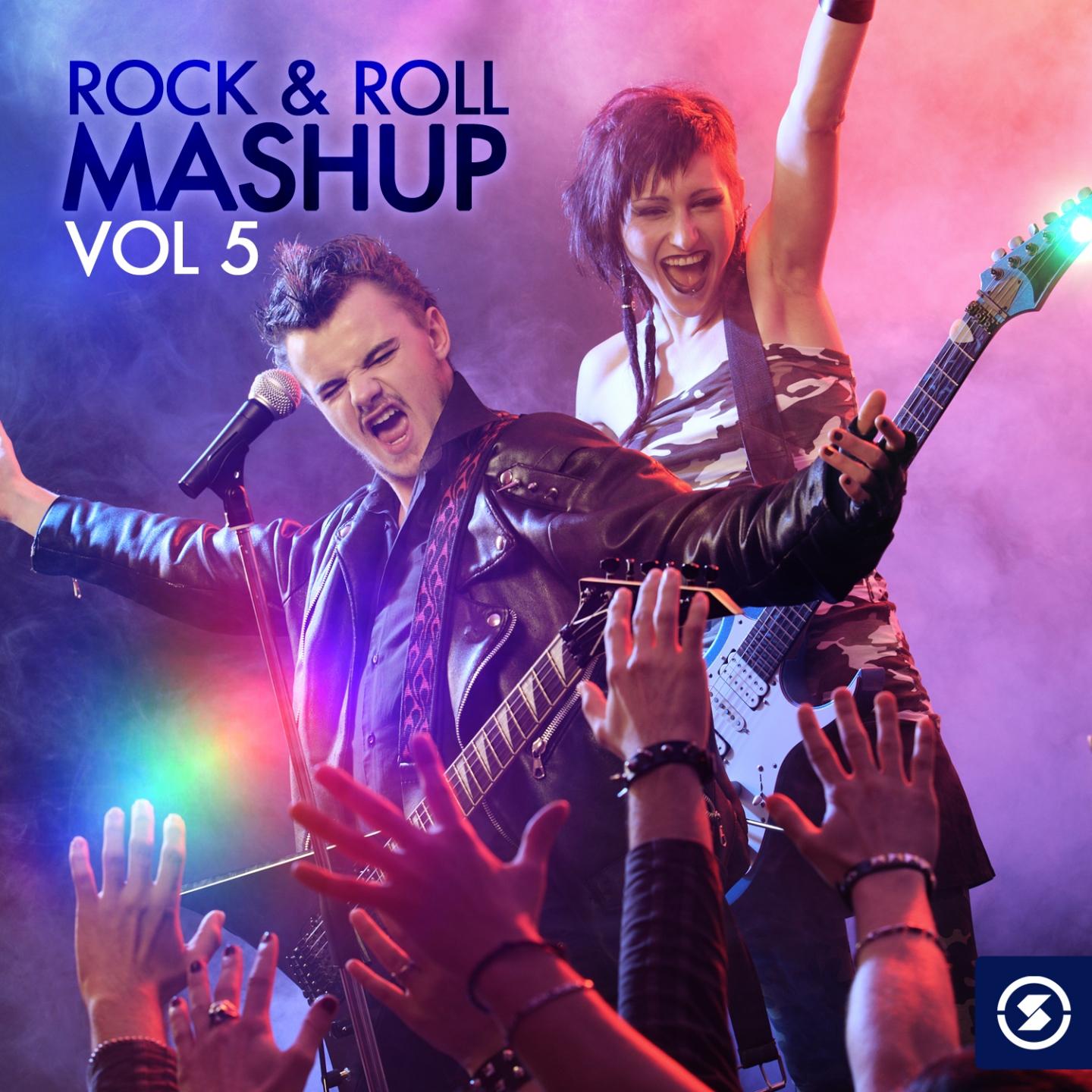 Постер альбома Rock & Roll Mashup, Vol. 5