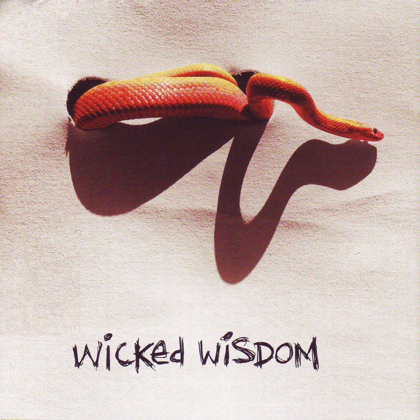 Постер альбома Wicked Wisdom