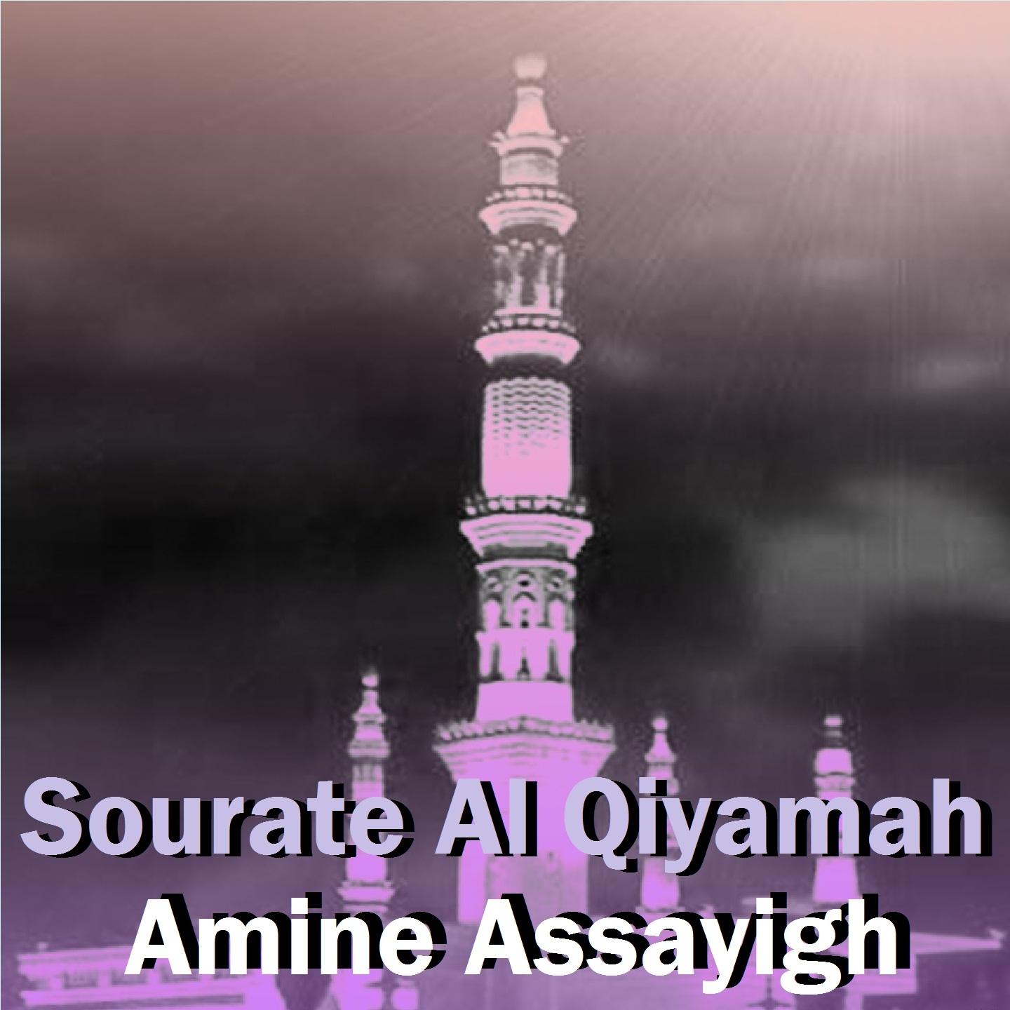 Постер альбома Sourate Al Qiyamah