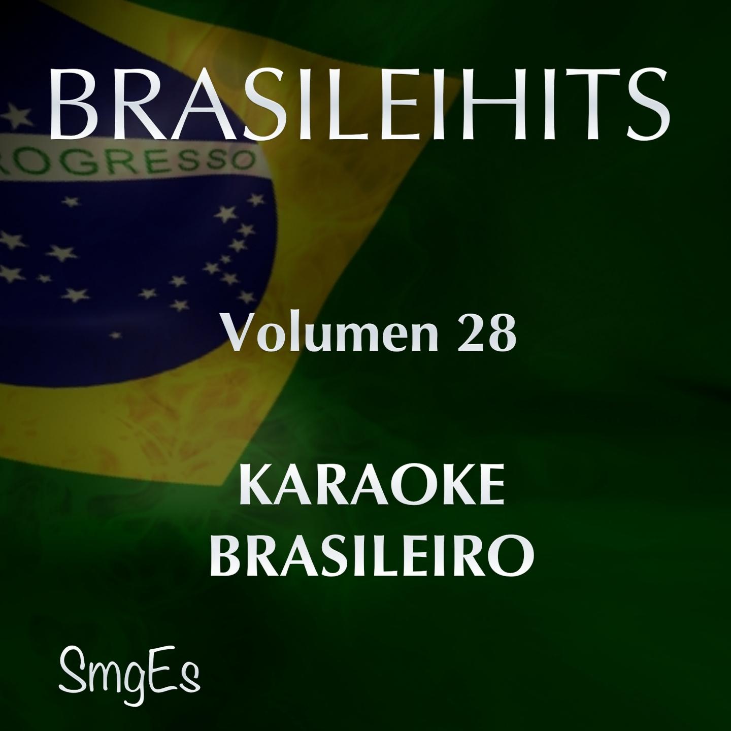 Постер альбома BrasileiHits, Vol. 28 (Karaoke Version)